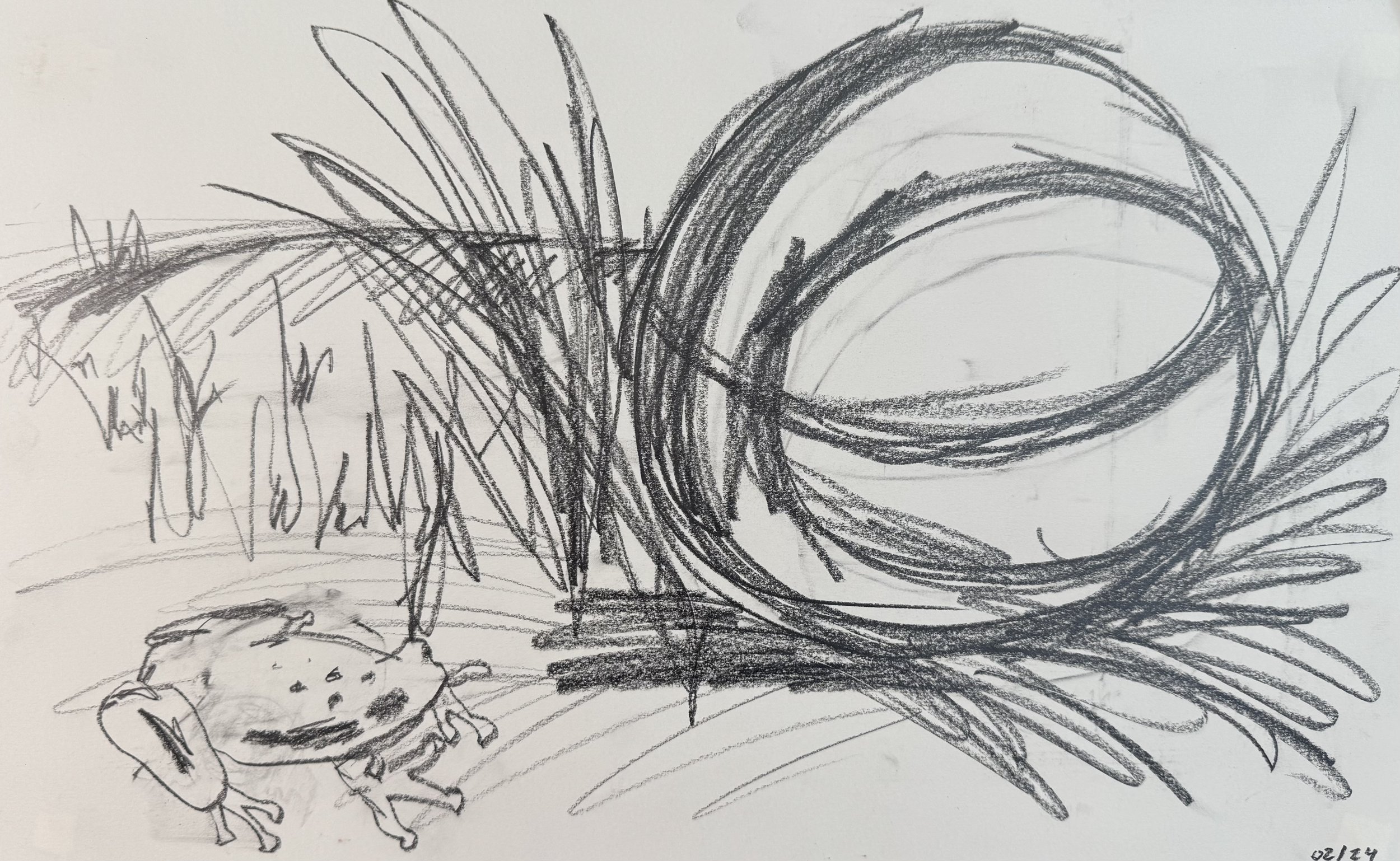 Frog and Basketball, graphite on paper, 12x18 inches, 2023