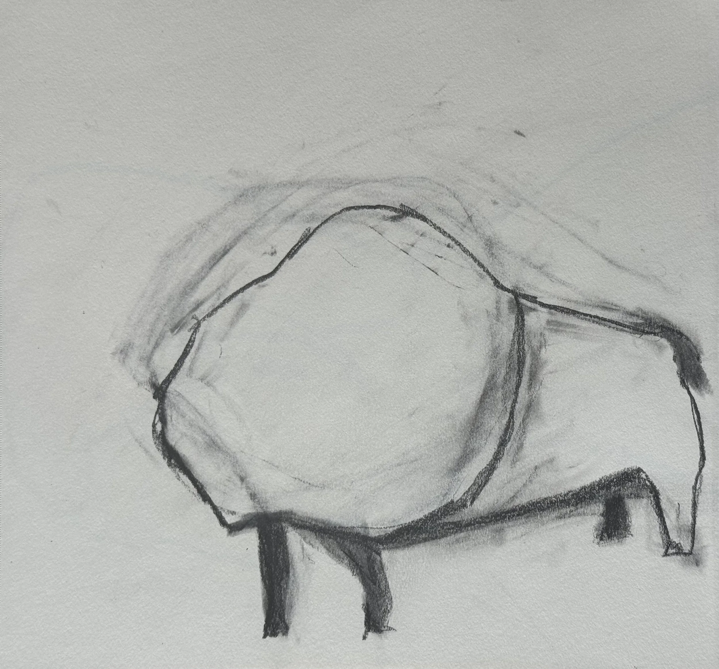 Buffalo, 9x9.5 in. 2025, graphite on paper
