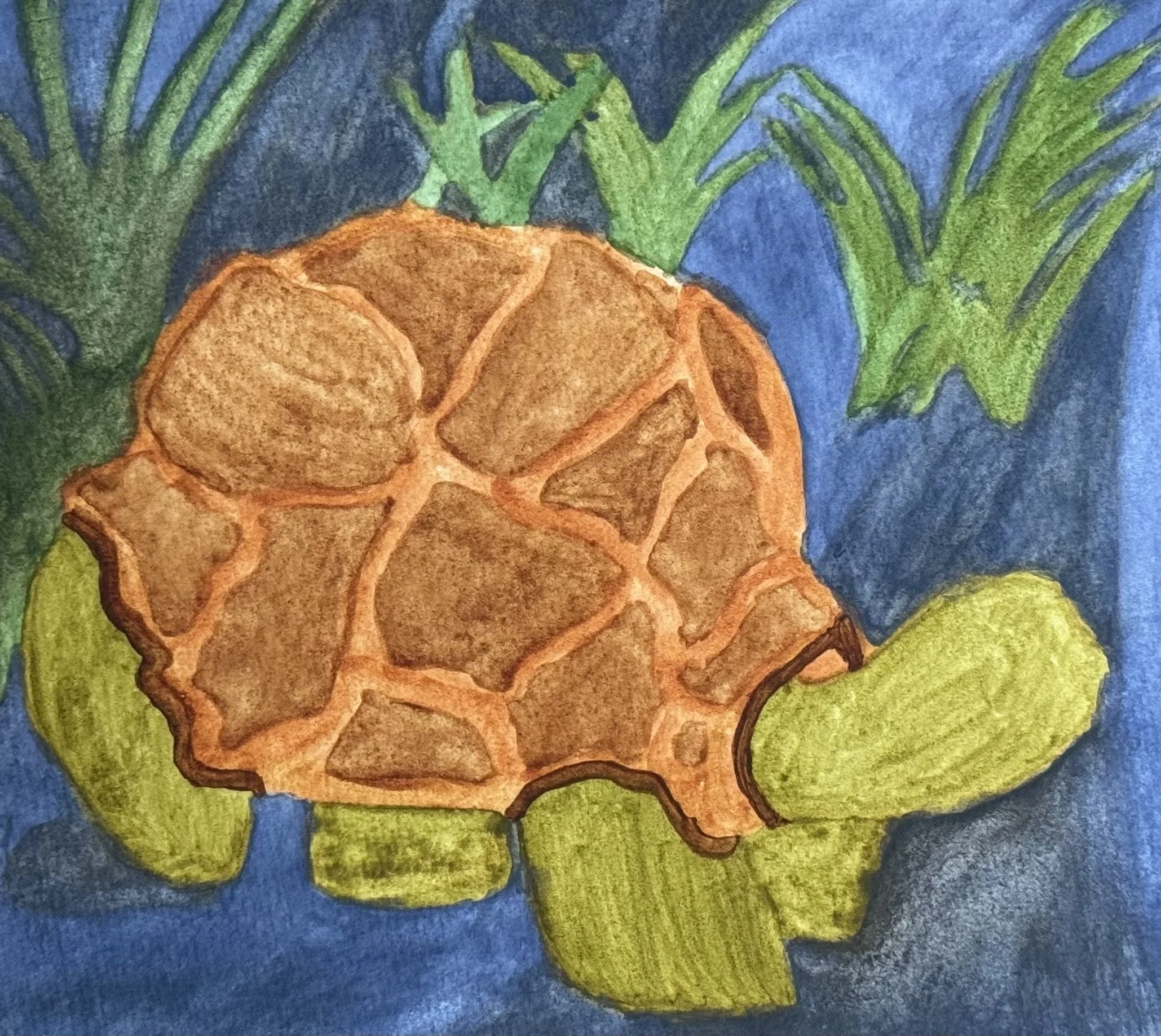 Turtle, water color on paper, 6x8 inches, 2026