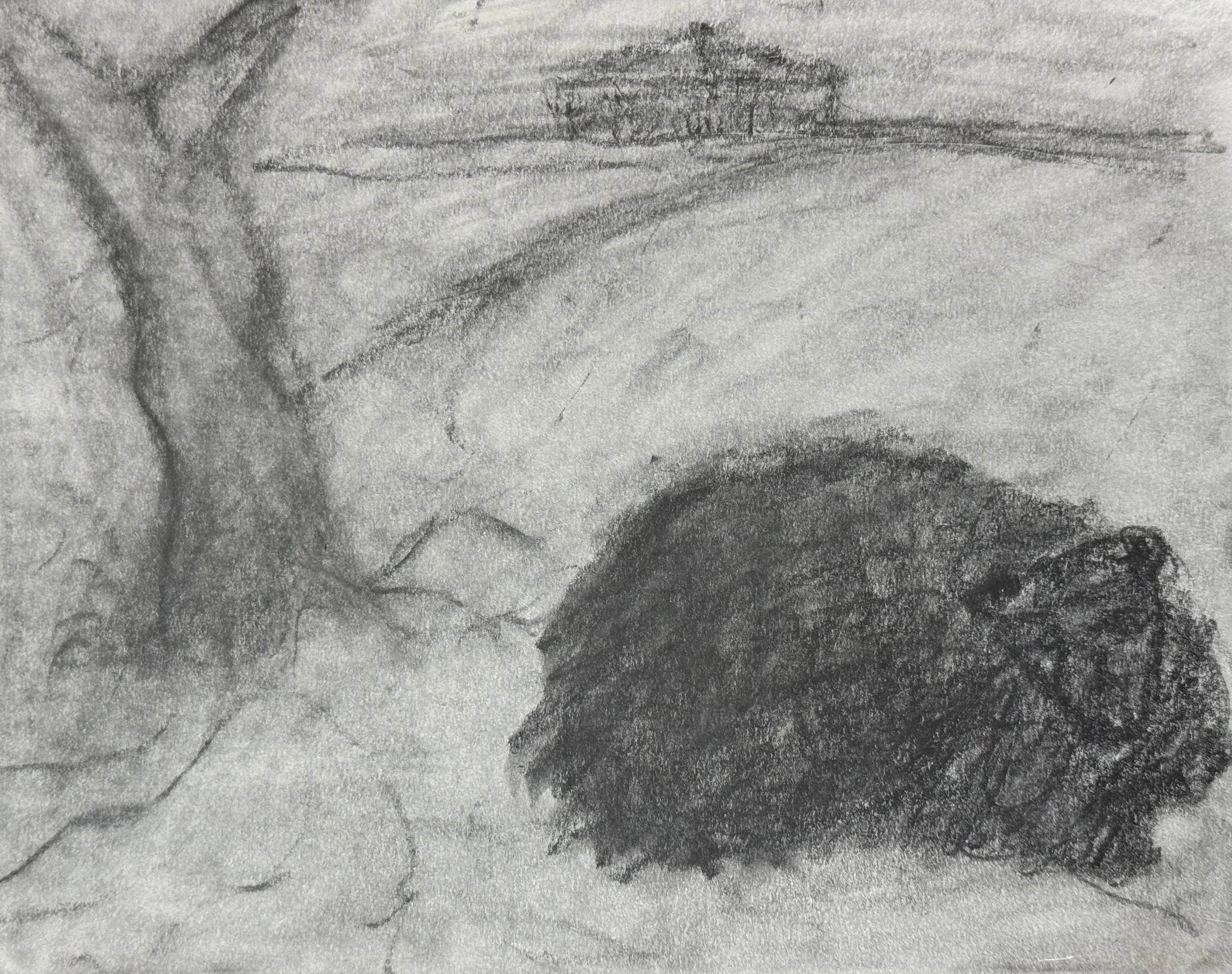 Bear in Snow Storm, 8x10 in. 2025, graphite on paper