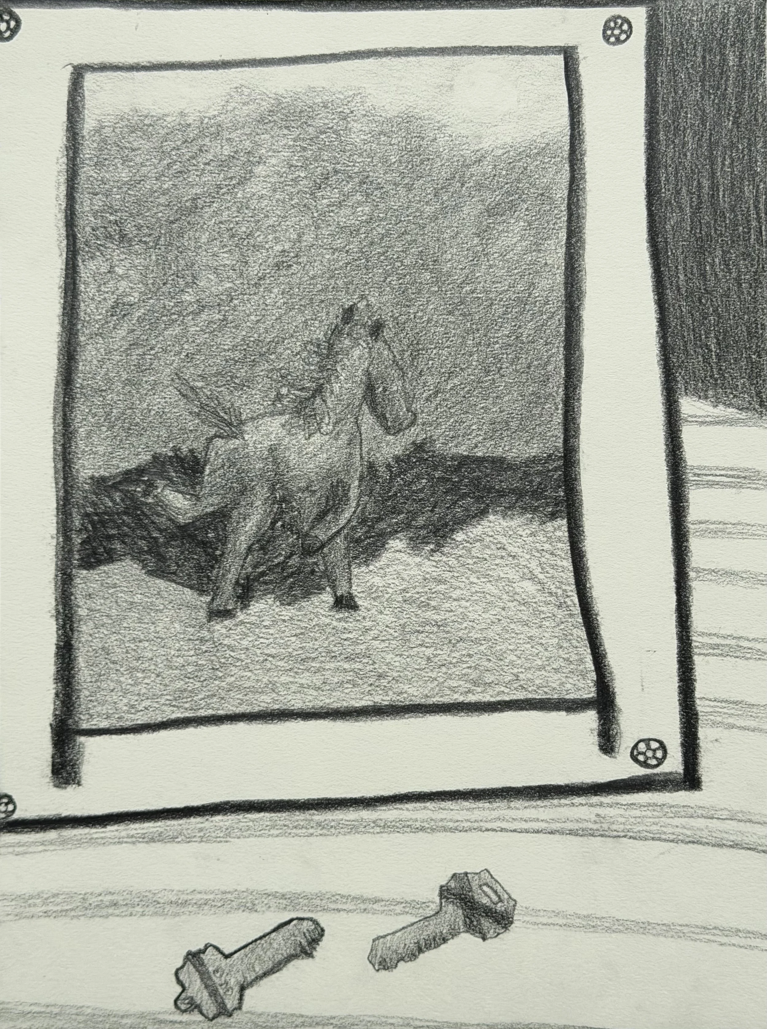 Photo of a Horse, graphite on paper, 12x9 inches, 2026