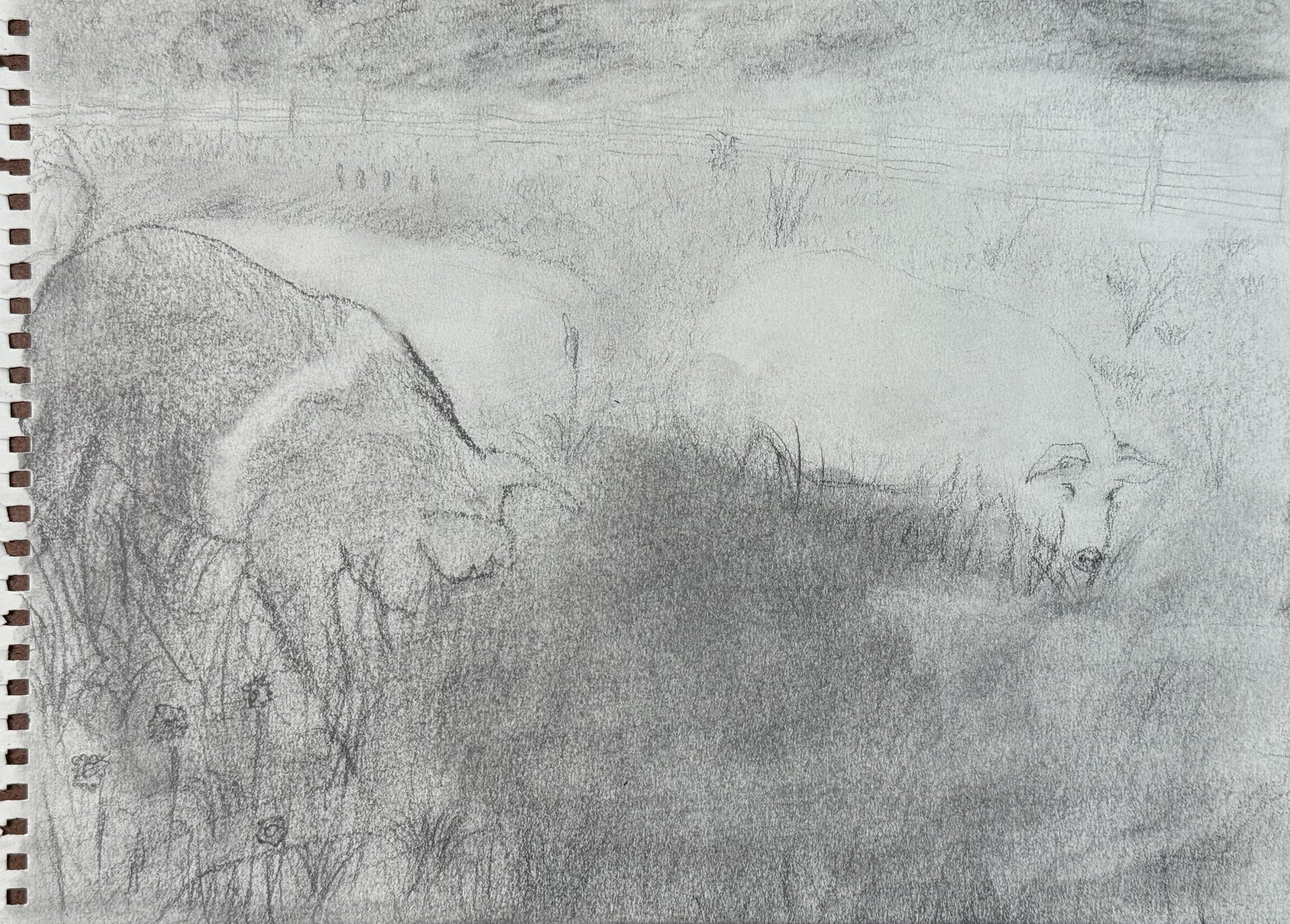 Two Pigs III, 9x12 in. 2024, graphite on paper