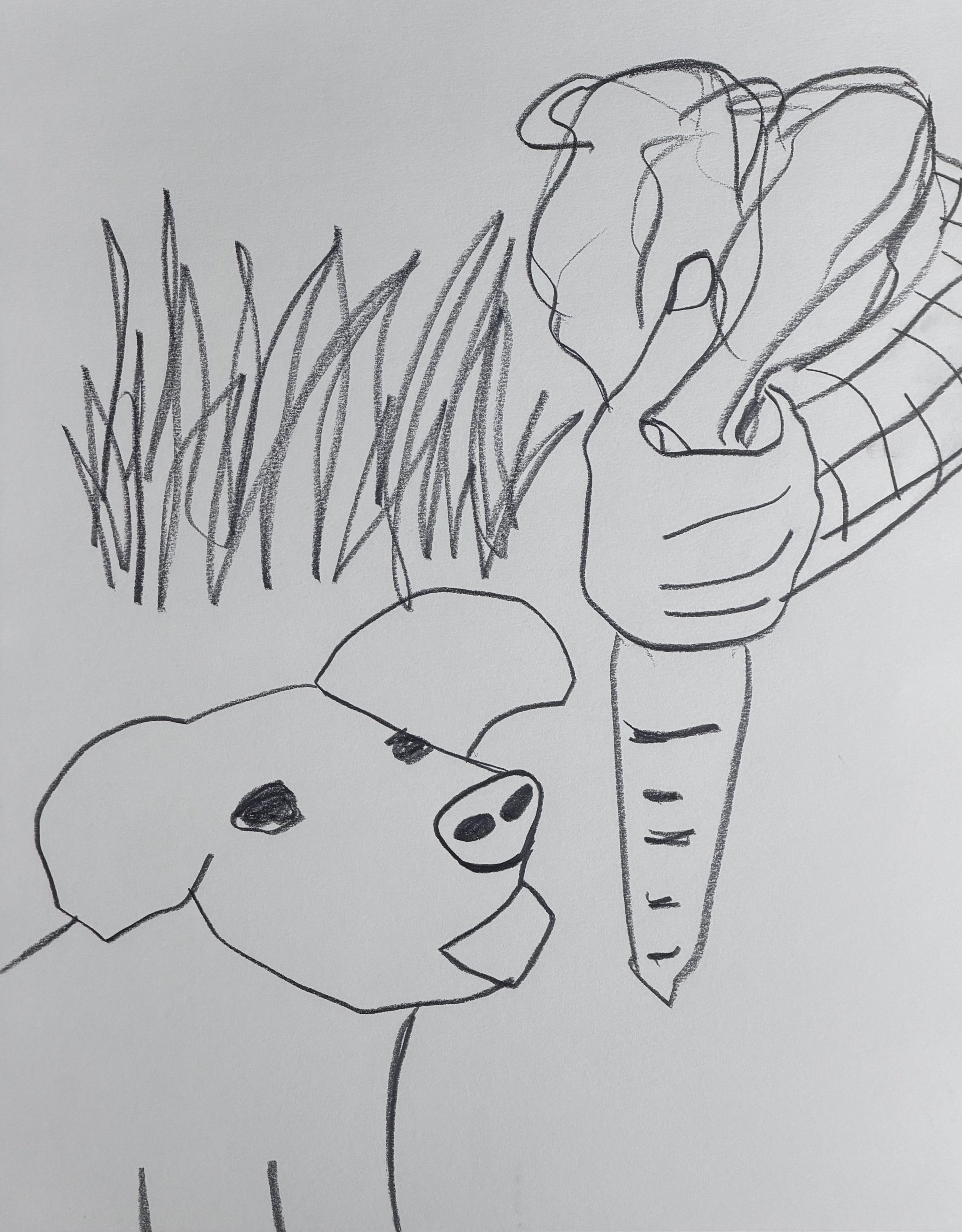 Hungry Pig, graphite on paper, 12x9 inches, 2026