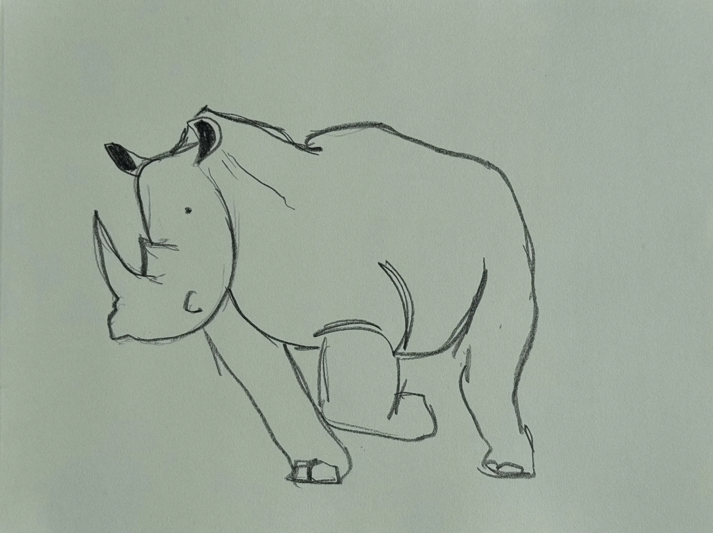 Rhinoceros, graphite on paper, 11x14 inches, 2026