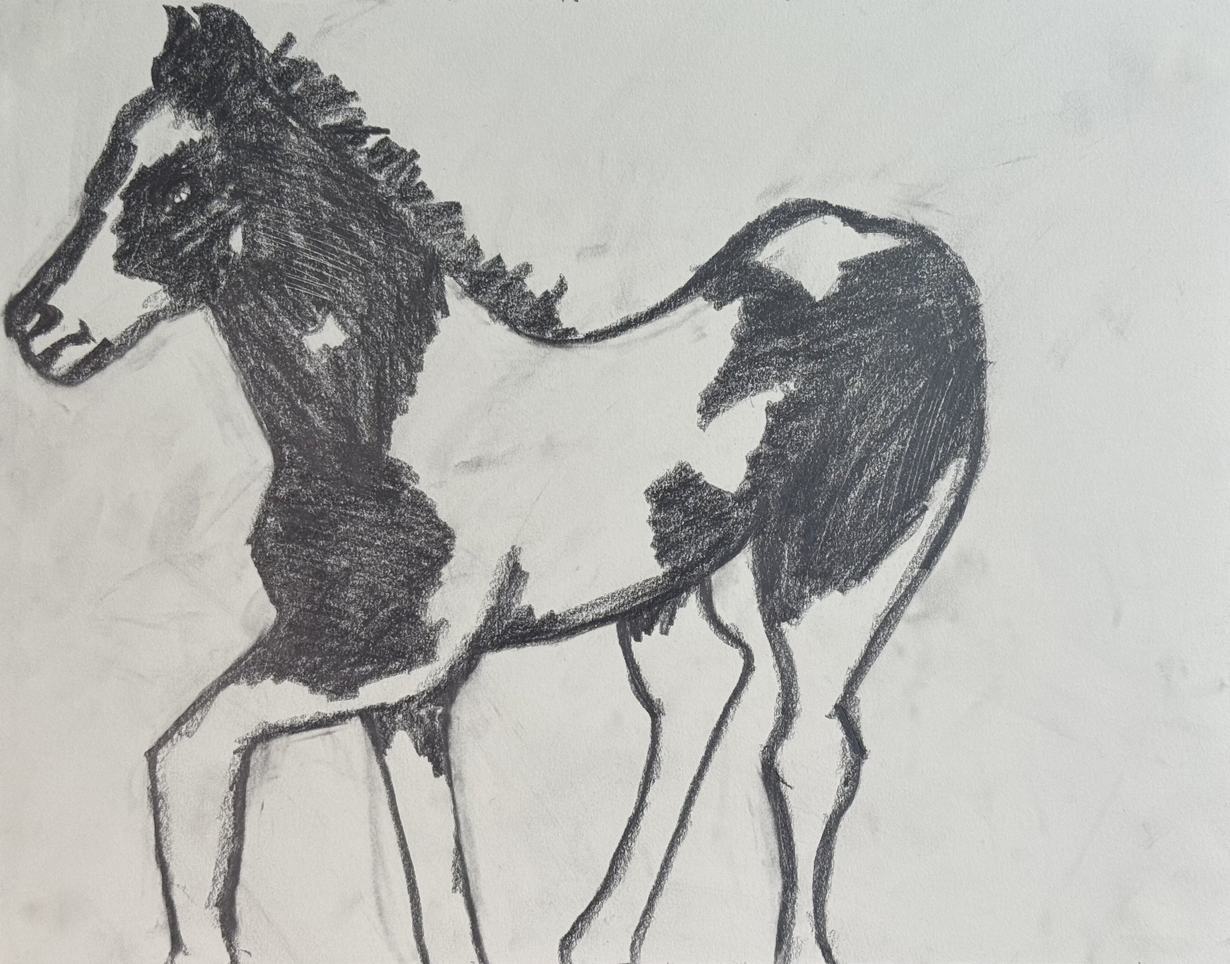 Day Old Horse, 14x11 in 2025, graphite on paper