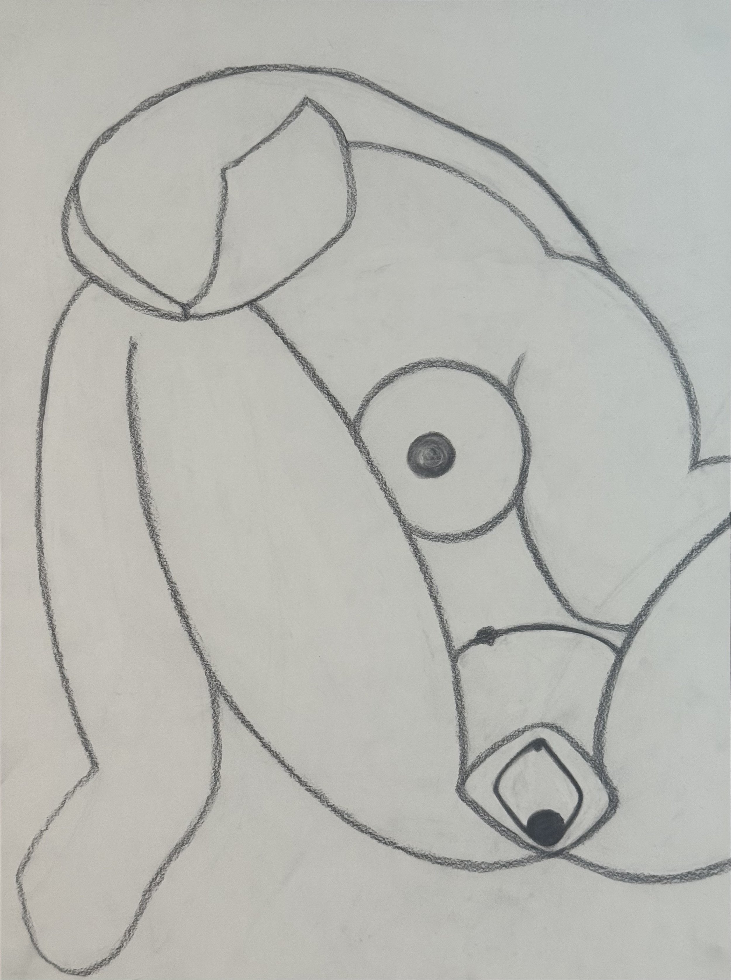 Venus Views Herself, 18x24 in. 2025, graphite on paper