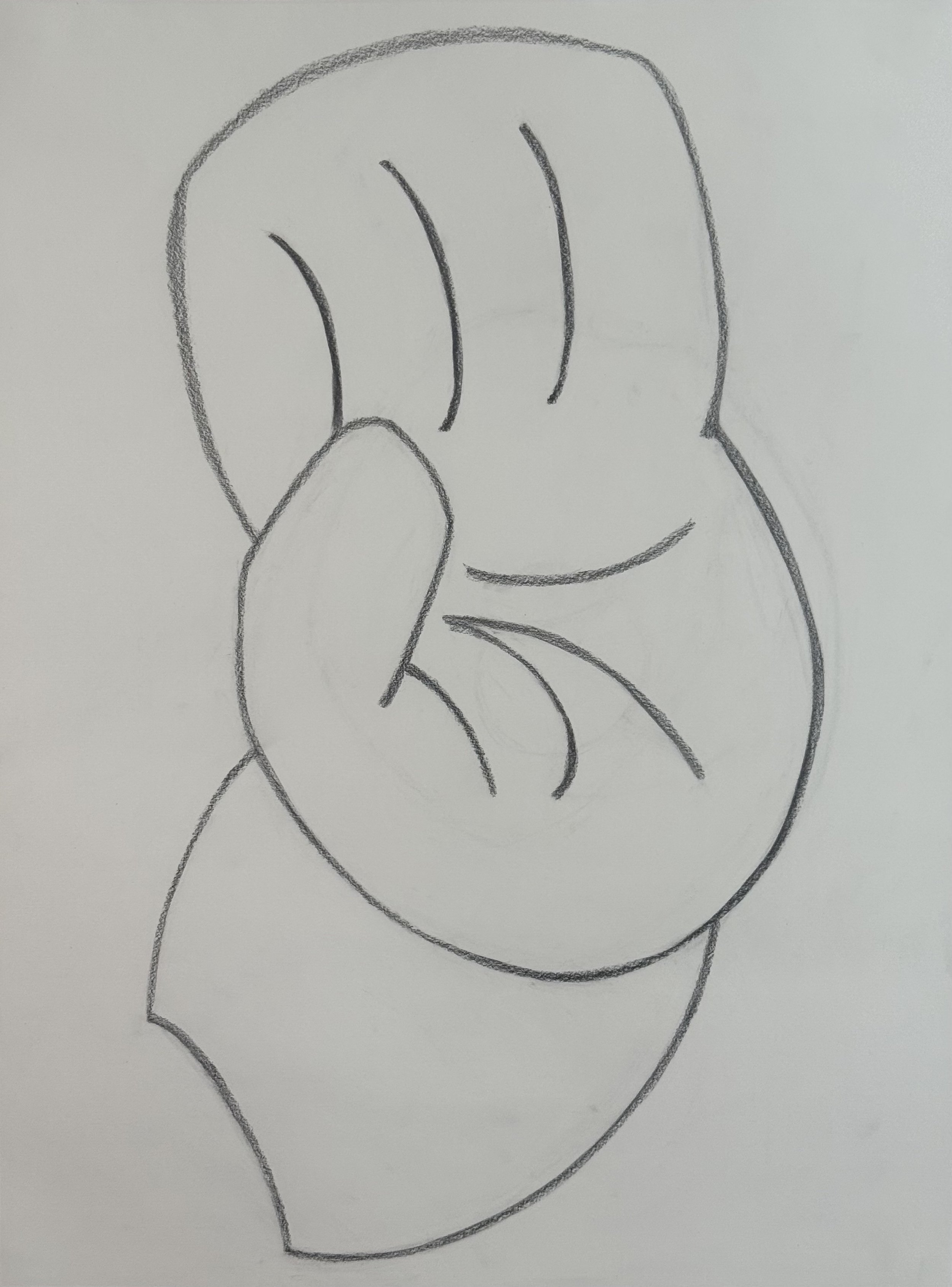 Hand of Venus, 18x24 in. 2025, graphite on paper