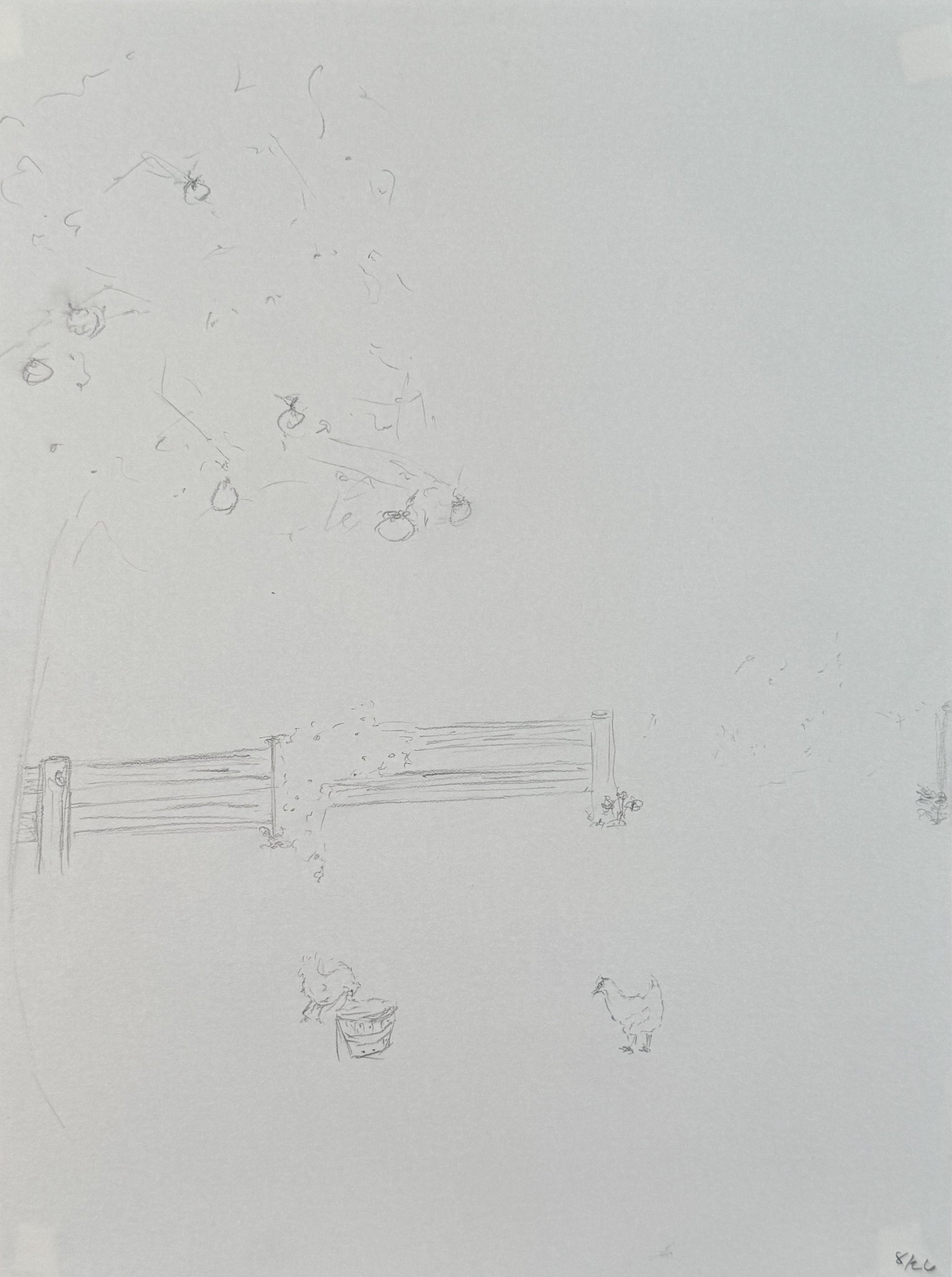 2 Chickens and an Apple Tree, 9x12 in. 2023, graphite on paper