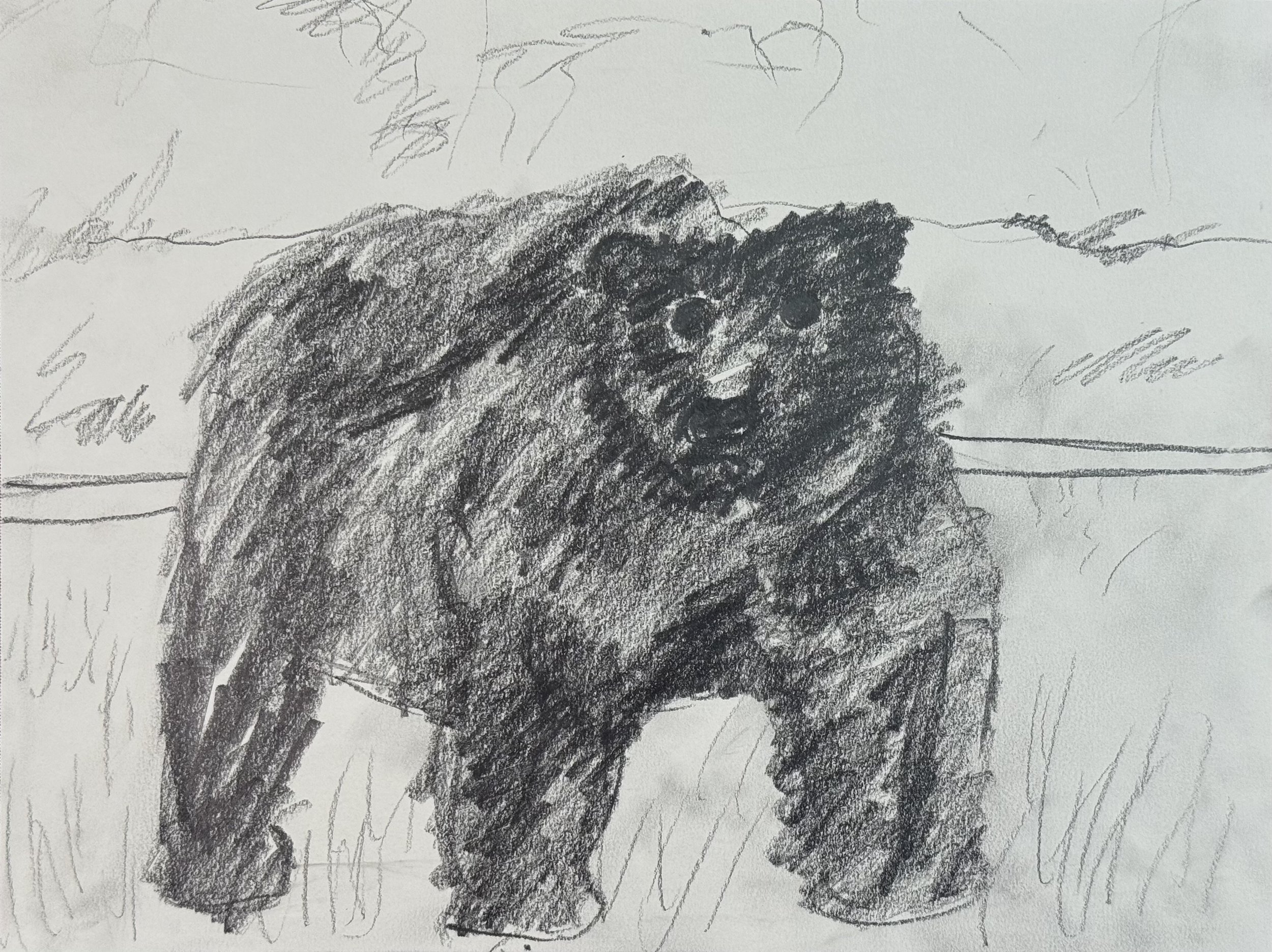 Bear with Black Eyes, 9x12 in. 2024, graphite on paper
