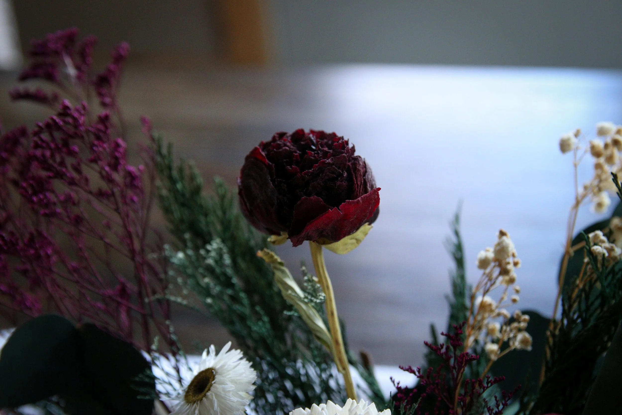 Gracie-Claire-Andrews-dried-flowers-32.jpg