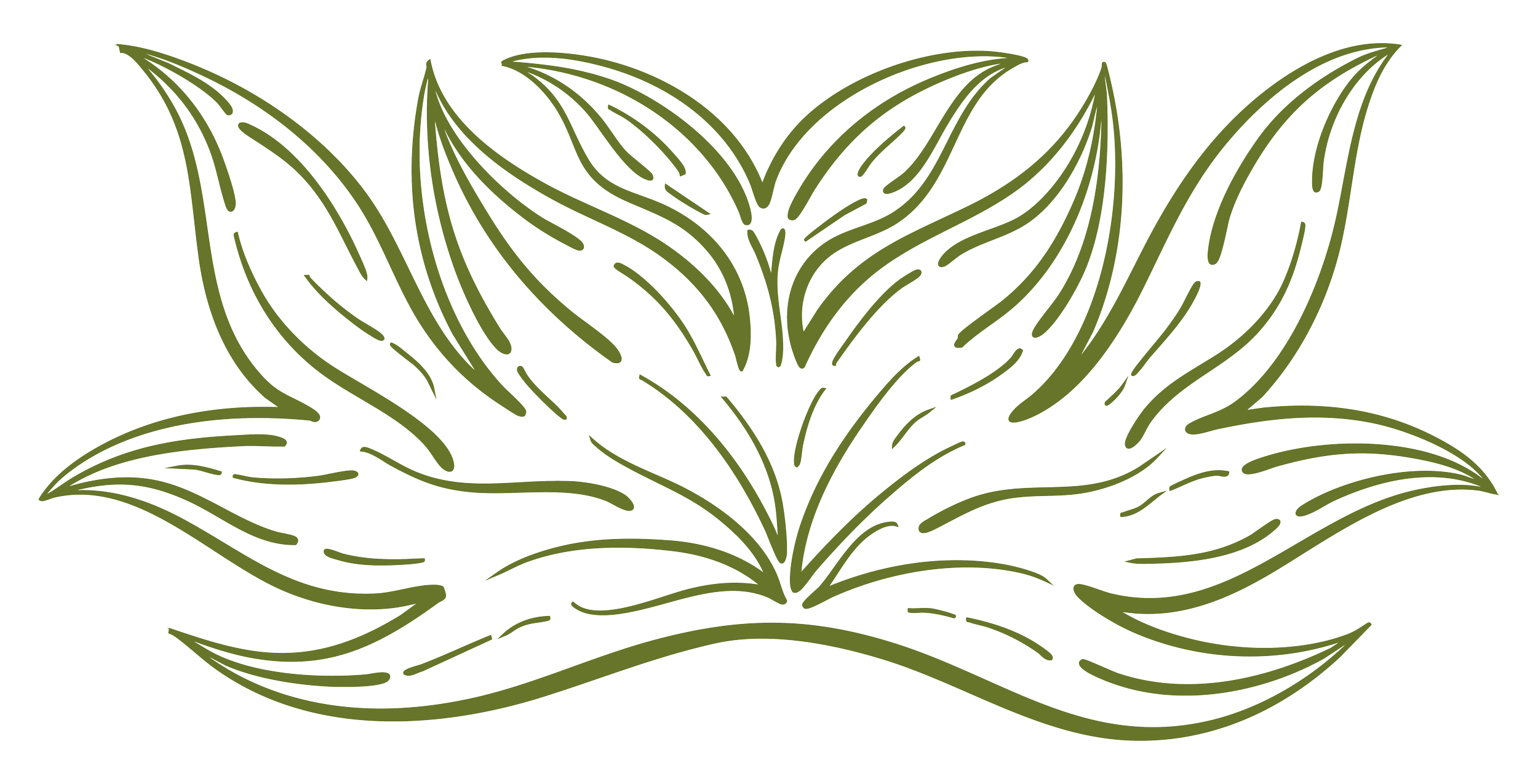Outline of dynamic floral blooming leaf