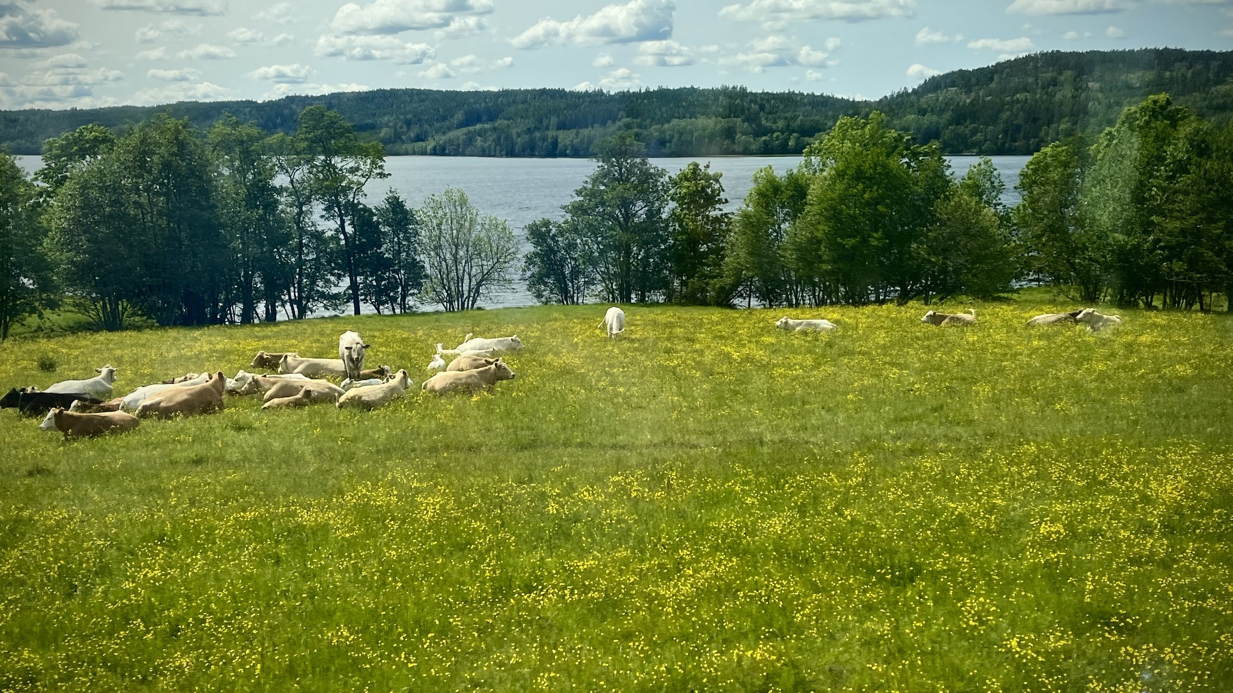 Monday meant a long travel day from Stockholm to Oslo but the views from the train became more picturesque as we sped north into Norway.