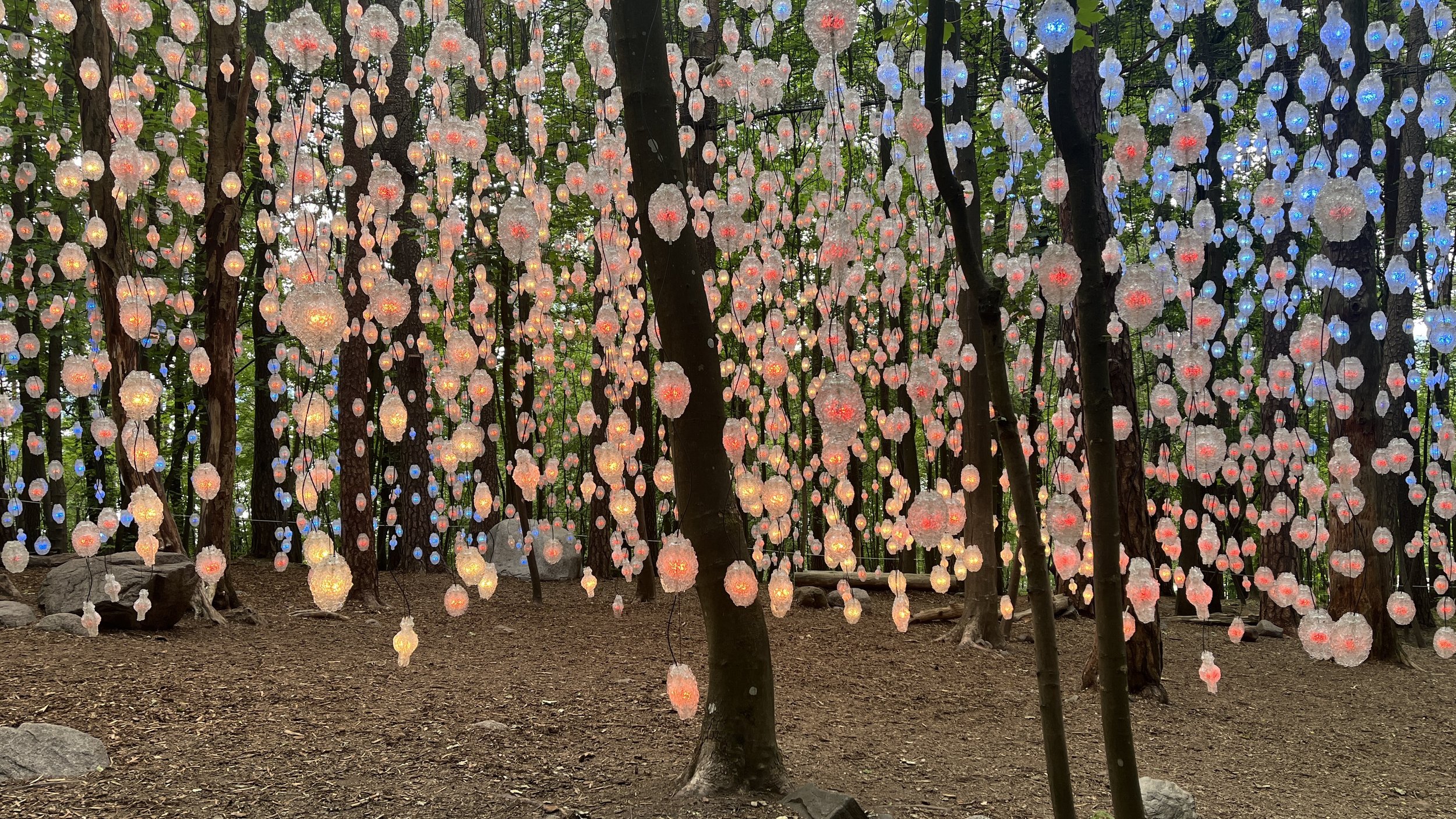 Our last stop was Ekenberg Park, high on a forested hill just outside of downtown Oslo. The park is full of art installations, including these lights hanging from the trees above. Their colors slowly change which made for a pretty magical spot to res