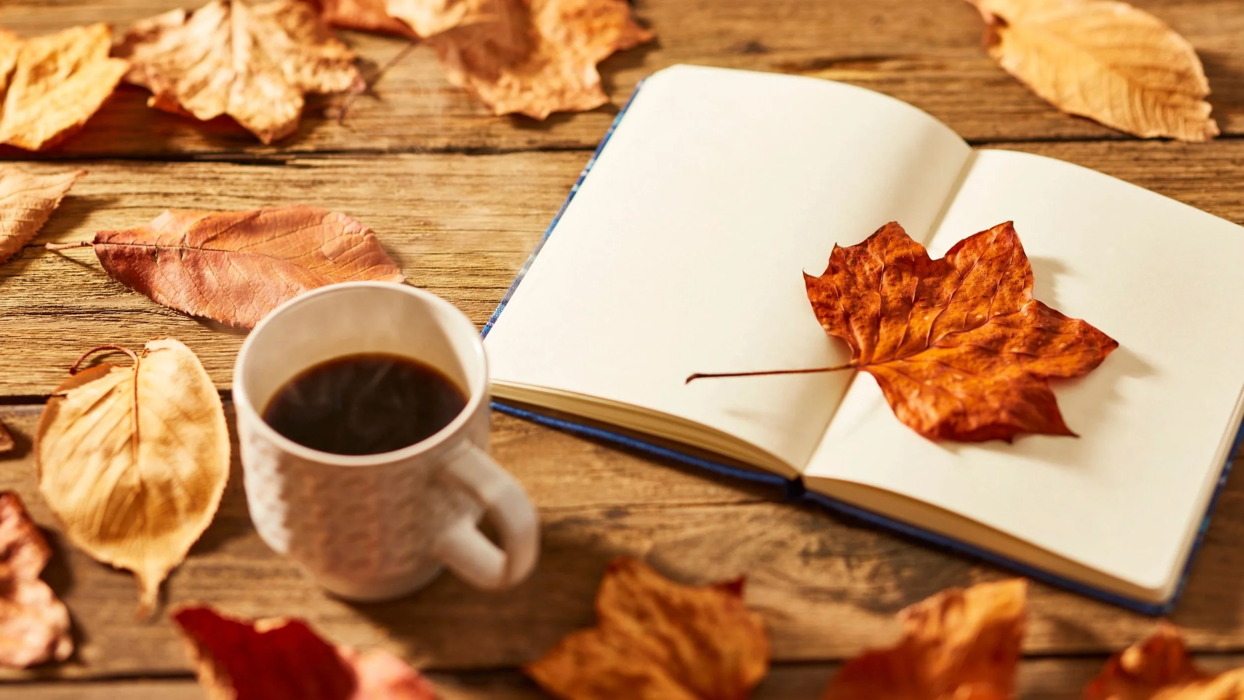 Your Ultimate Austin Event Guide — November Edition