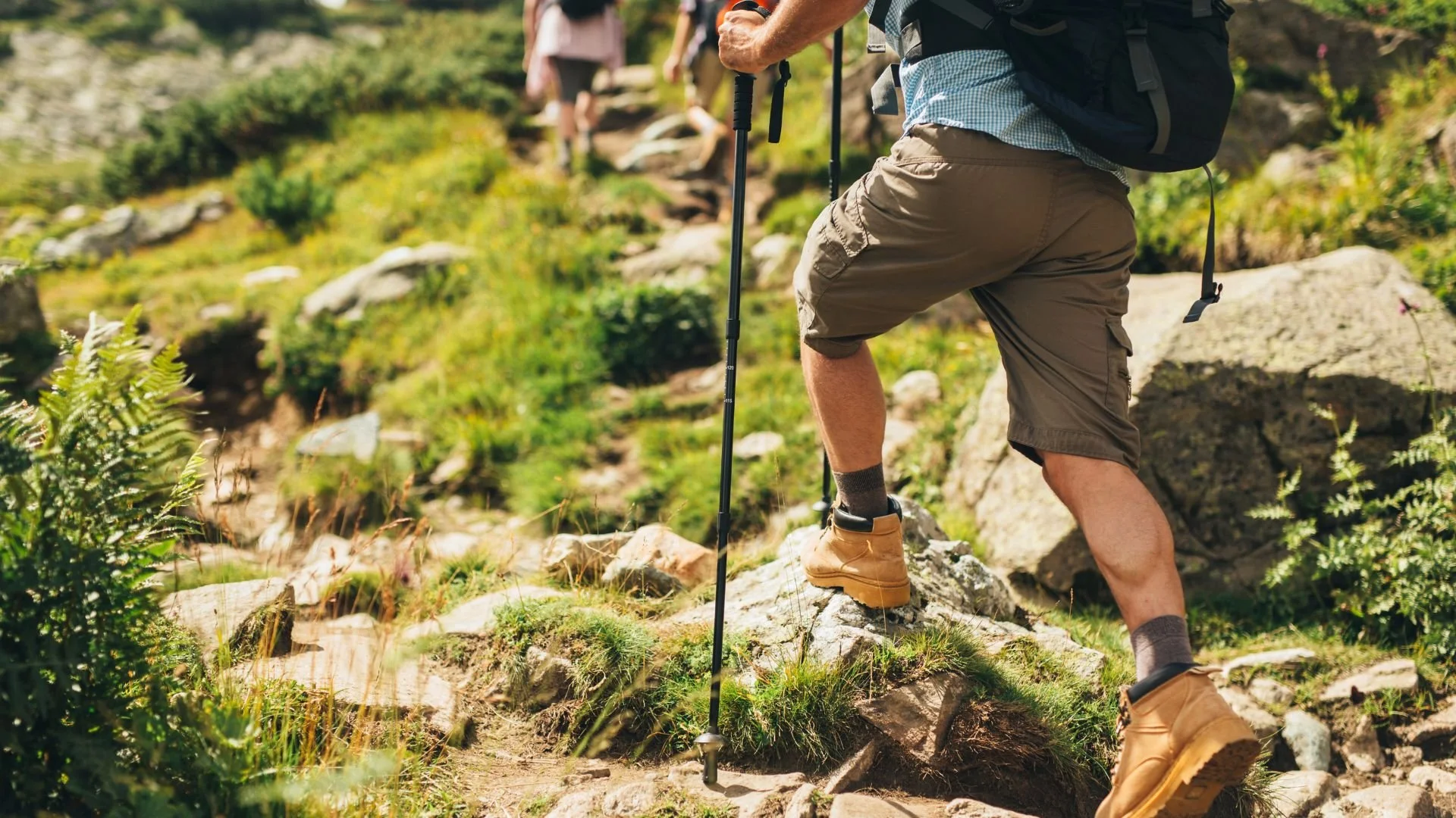 Beyond Barton Creek: 5 of My Favorite Hiking Spots South of the River in Austin
