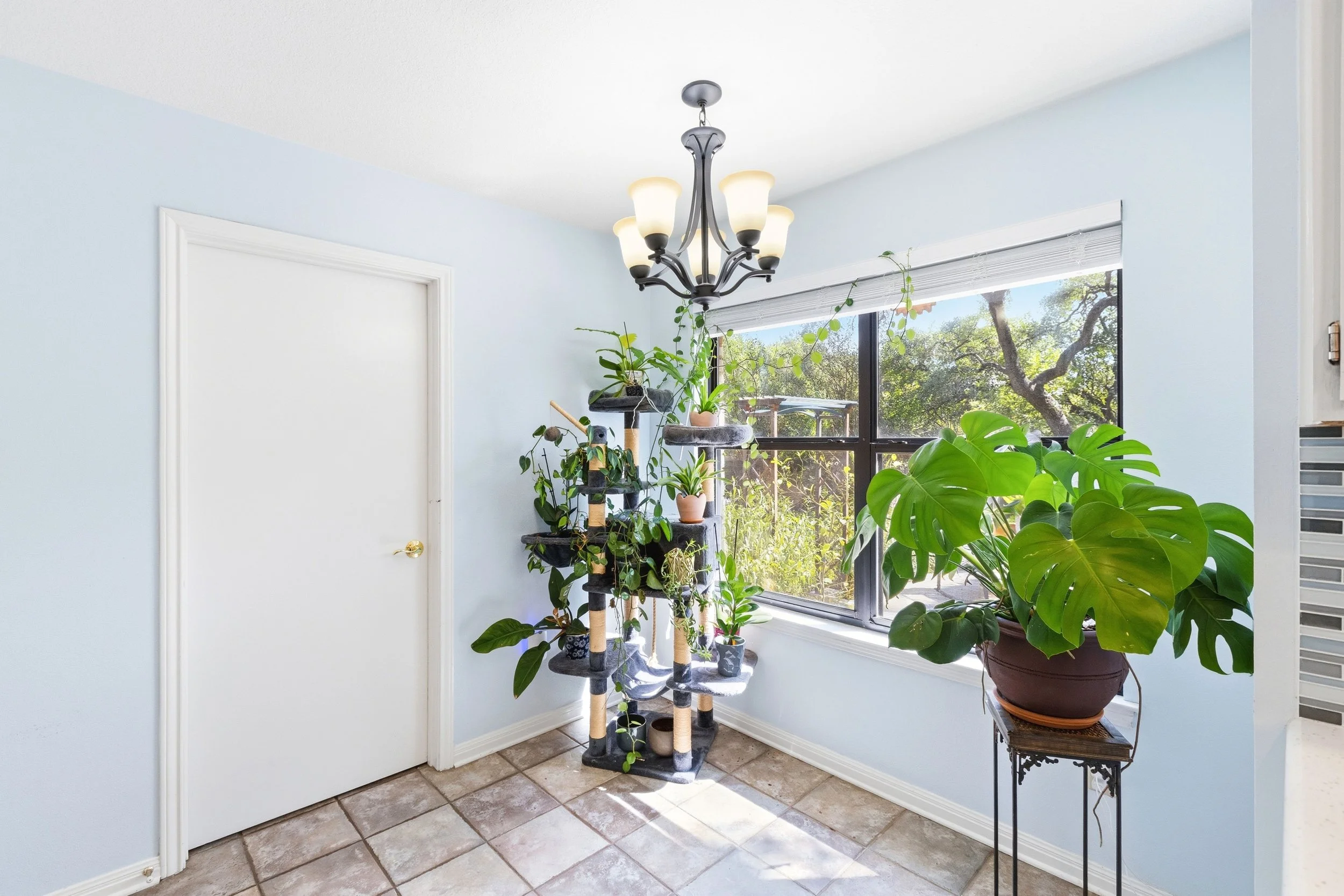 Home-4490.jpg