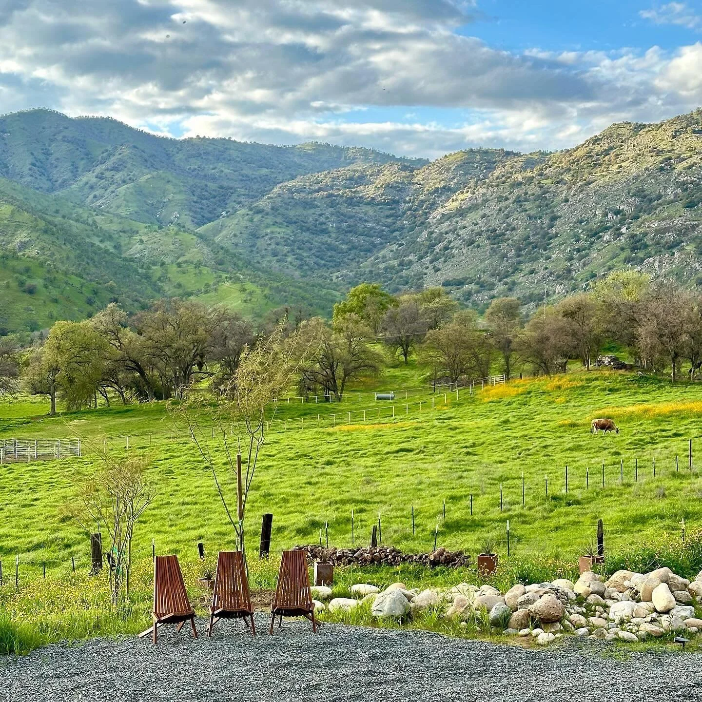๐ธ๐ฟ Spring Has Sprung at Muniz Village! ๐ฟ๐ธ
It’s that magical time of year when Muniz Village bursts into life with the vibrant colors of blooming flowers, the gentle rustle of new leaves, and the sweet songs of birds welcoming the season of