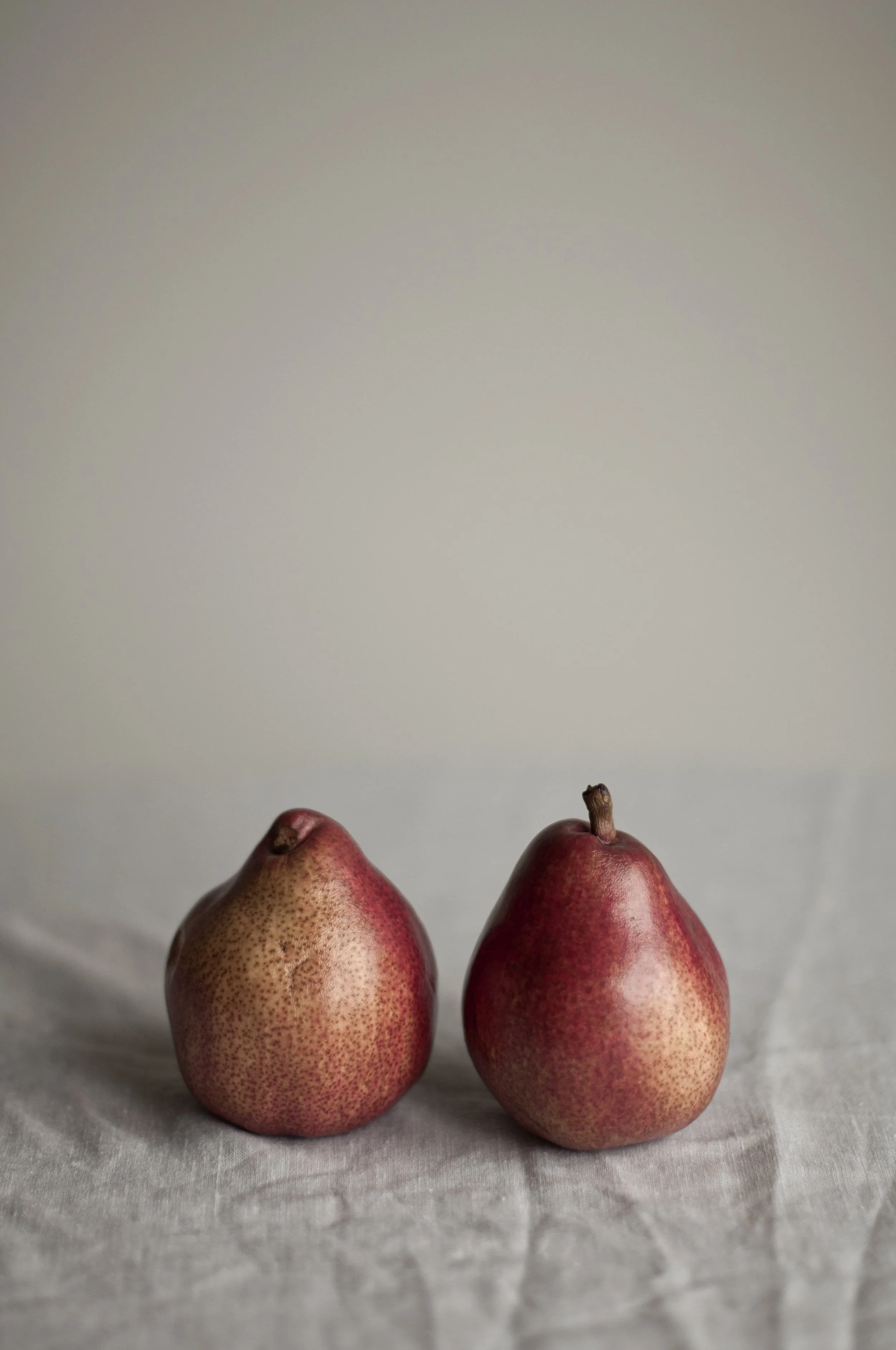 FINAL_SQ.1848_pair of pears3.jpg