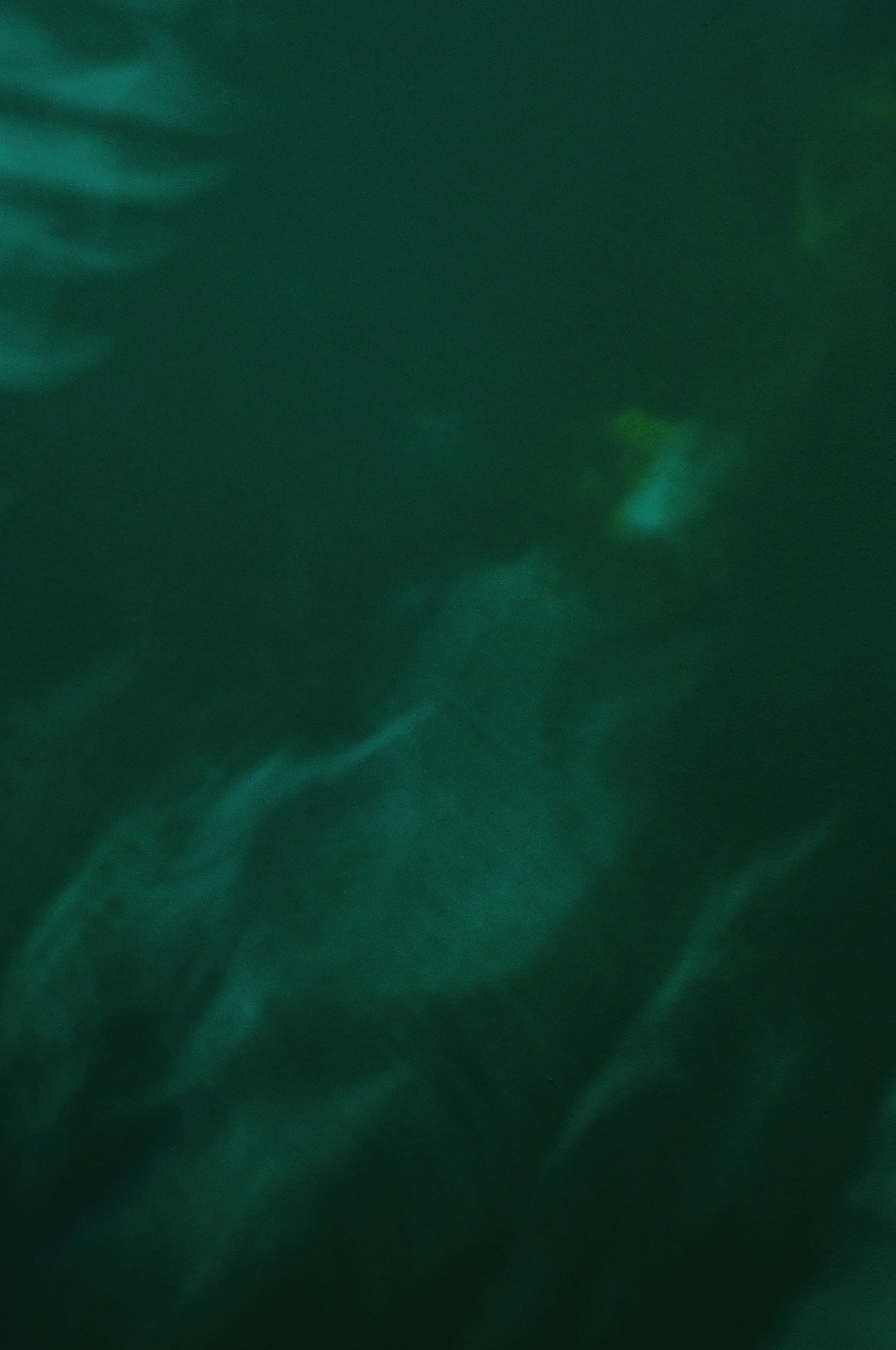 flesh and fish_Green_SQ.jpg