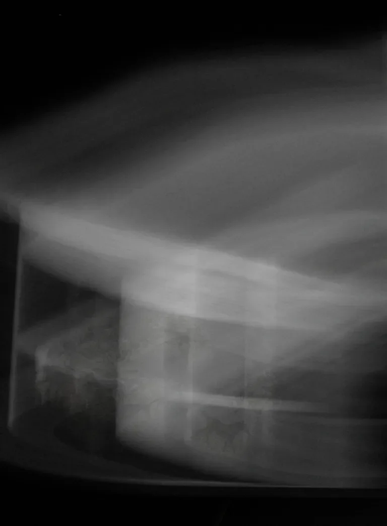 horses4.webp
