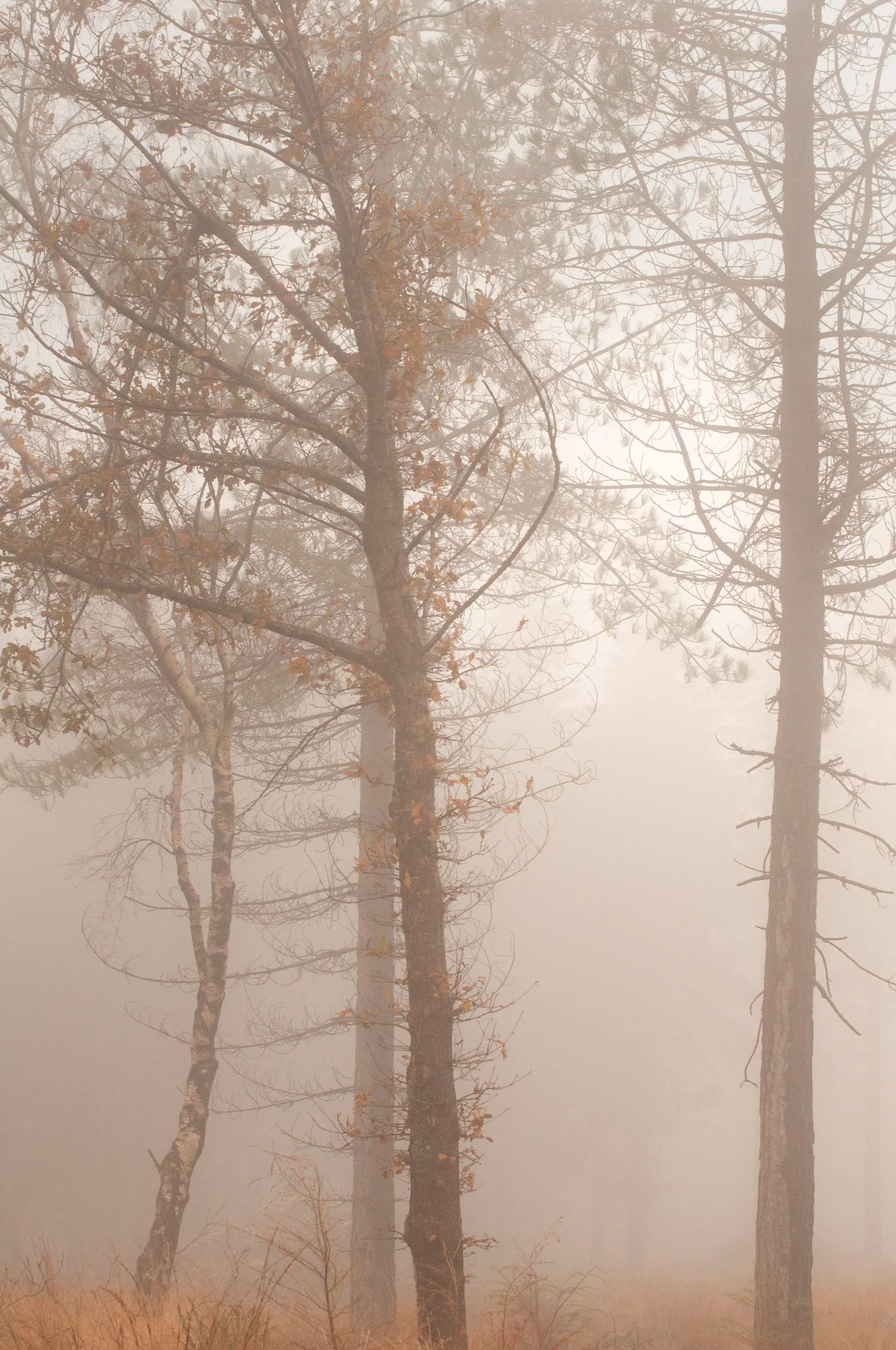 0858_SQFINAL_Many Lines.jpg