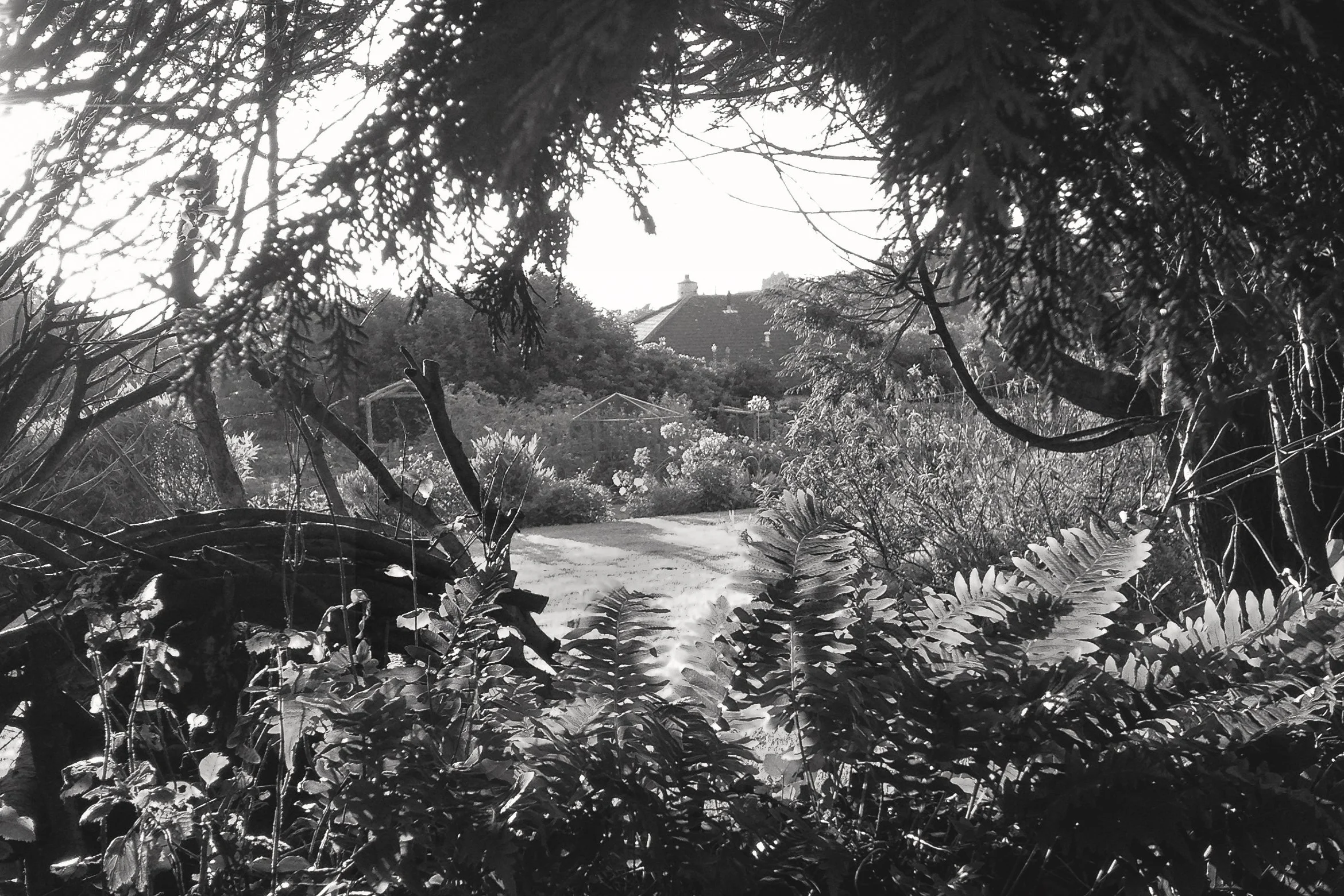 FINAL_SQgarden crop.jpg