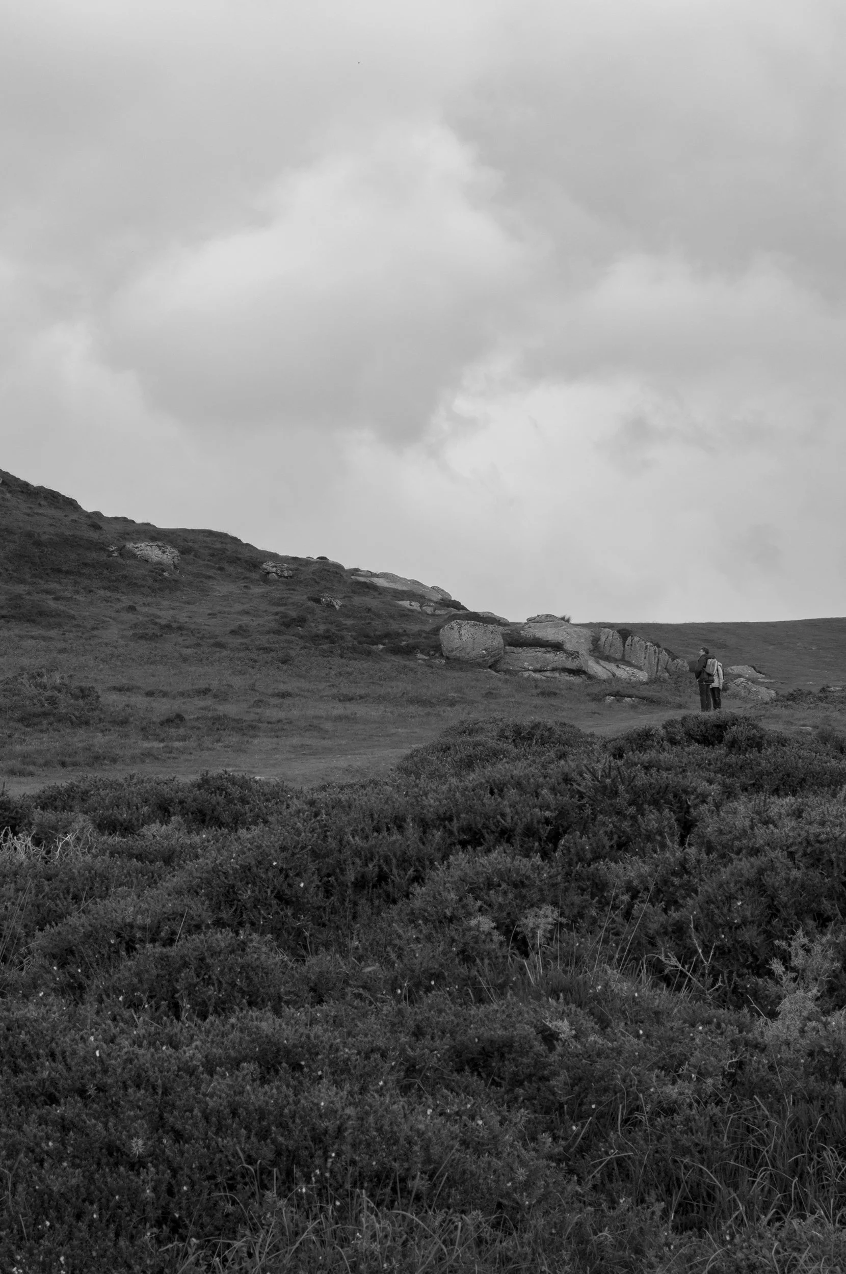 1217_Dartmoor Figures2SQ.jpg