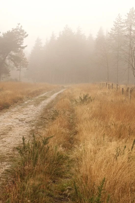 0009_Don't know where2_lighter_72.jpg