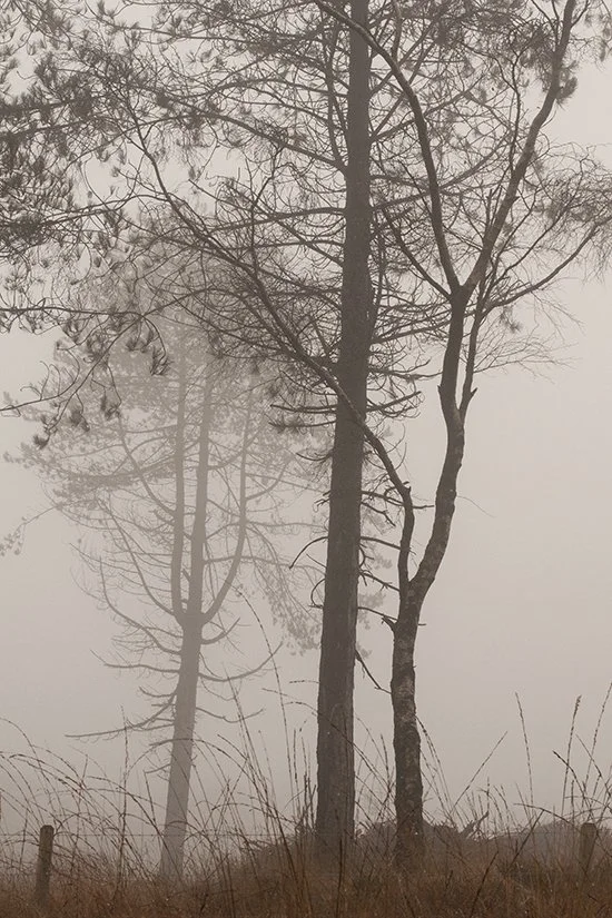 0852_Always in Your Shadow_2_72.jpg