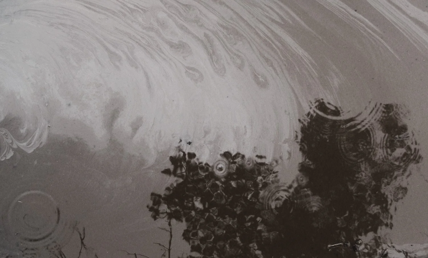 puddle1.jpg