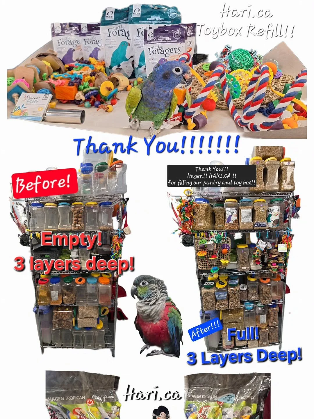We want to extend a huge thank you to the incredible team at Hagen Avicultural Research Institute - HARI @hagenbirdcare for the extremely generous donation of gourmet parrot food, pellets, treats, and enrichment items for the birds at our shelter.

T