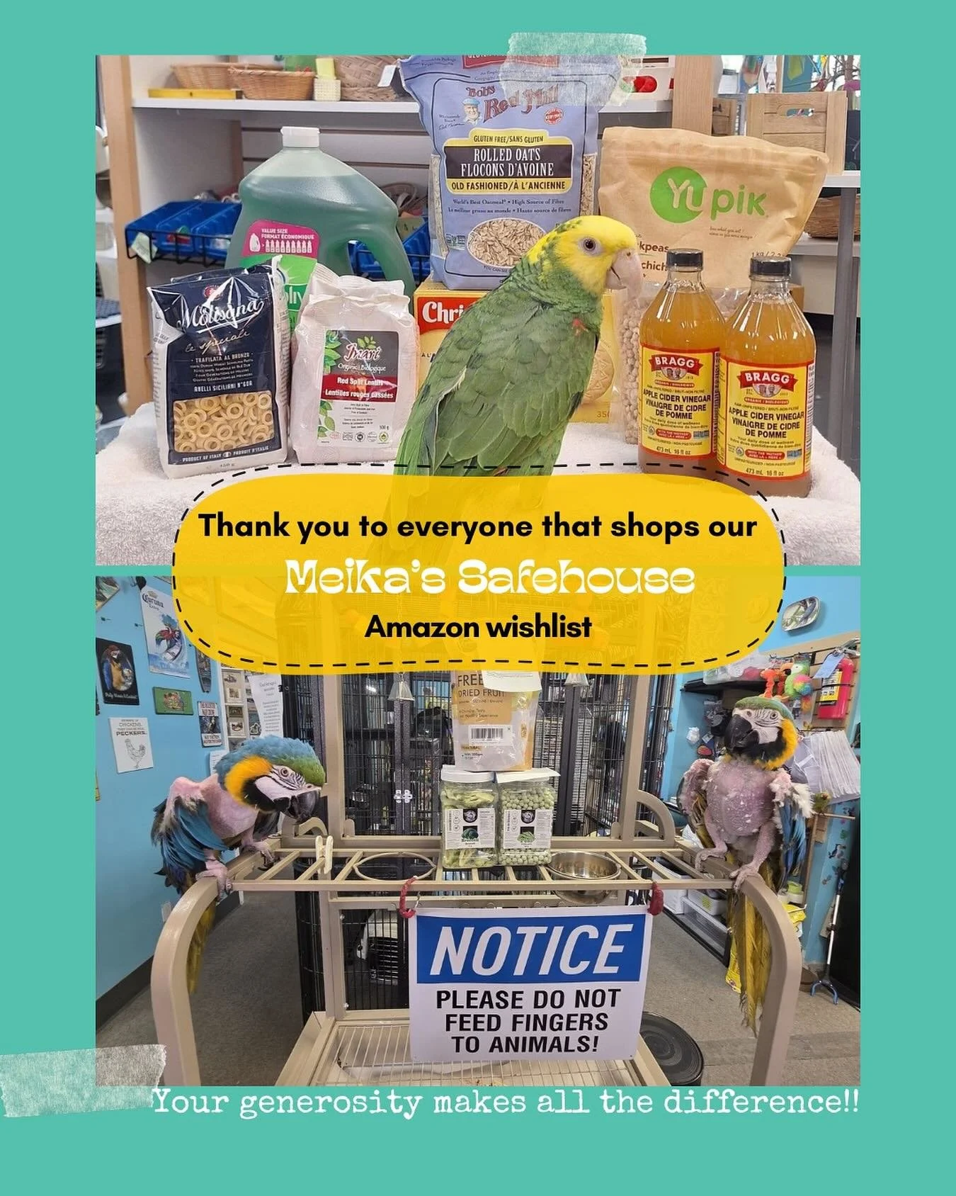 🙏 Thank You for Supporting Our Birds! 🦜

We are so grateful to everyone who shops from our Amazon Wishlist to help us care for hundreds of homeless birds at Meika&rsquo;s Safehouse. 💛 Your generous contributions, whether it&rsquo;s cleaning suppli