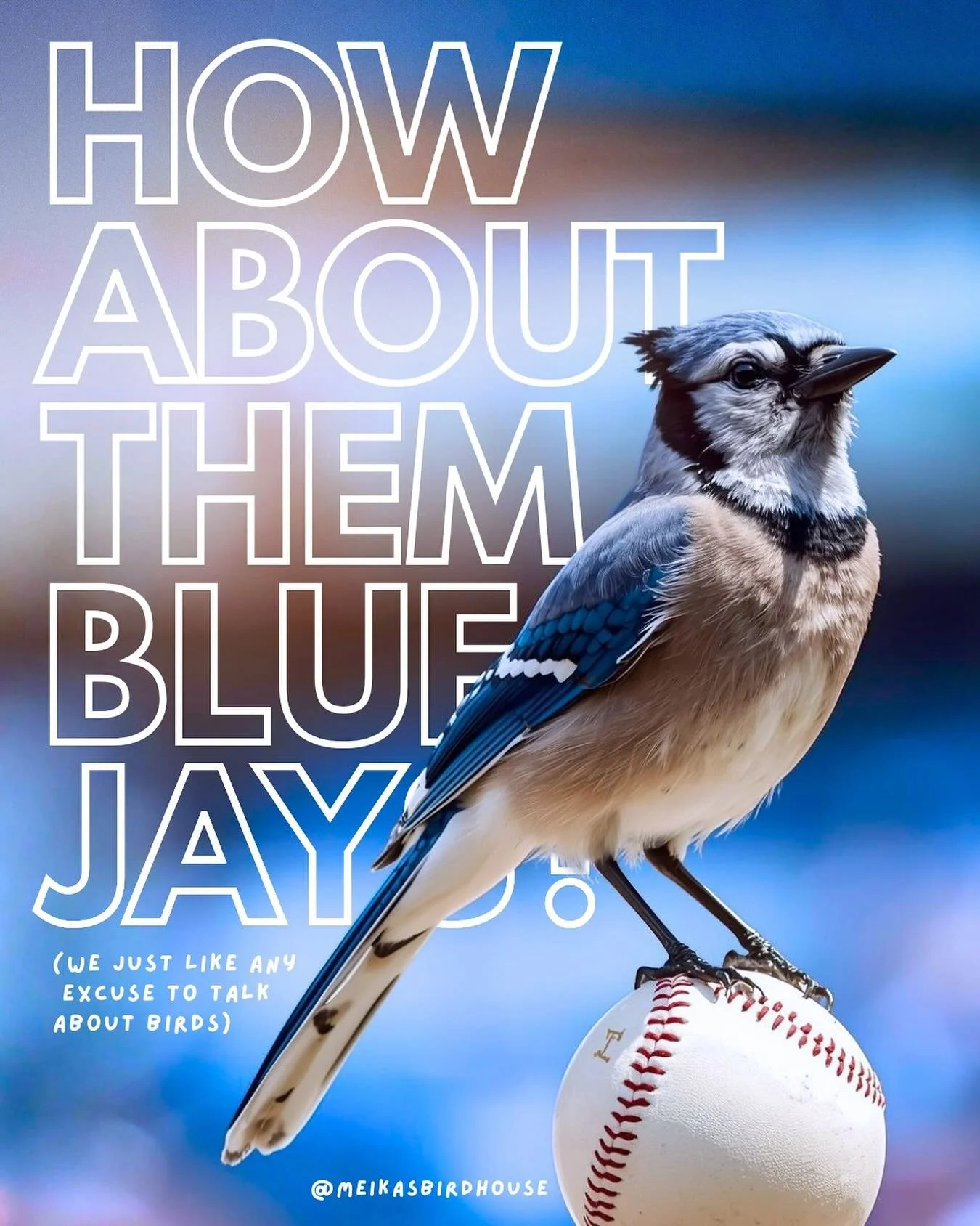 At Meika&rsquo;s, we&rsquo;re always cheering for Blue Jays&mdash;whether it&rsquo;s the smart and spirited Corvids or Canada&rsquo;s baseball team! 🐦⚾ 🍁 

Fun fact: Blue Jays can mimic other bird calls, including Hawks, to protect their nests. So 