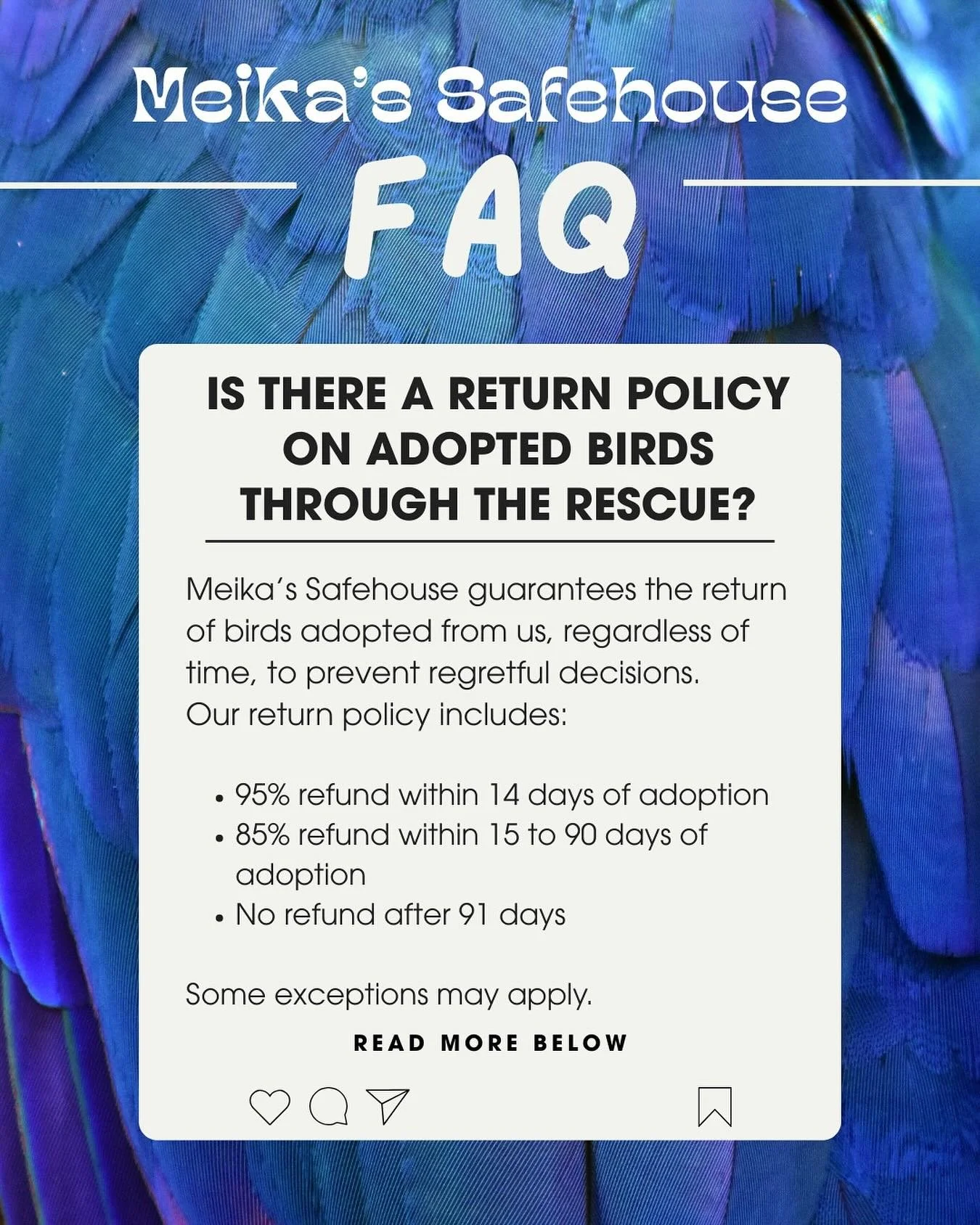 At Meika&rsquo;s Safehouse, we are committed to supporting both you and the birds you adopt&mdash;no matter how much time has passed. If circumstances change, we will always welcome back any bird adopted from us.

We also offer a return policy if you