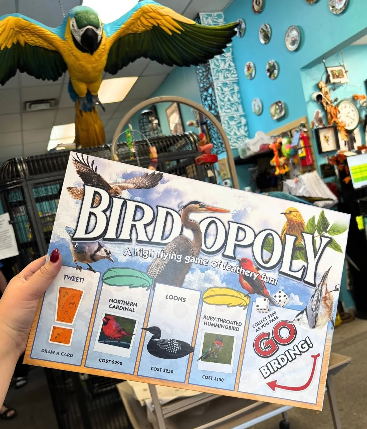 🎄✨ It&rsquo;s never too early to start thinking about Christmas gifts or fun games for your holiday gatherings! Make this holiday season extra special with unique gift ideas from Meika&rsquo;s Birdhouse. We&rsquo;ve got something for everyone. 🎁🦜
