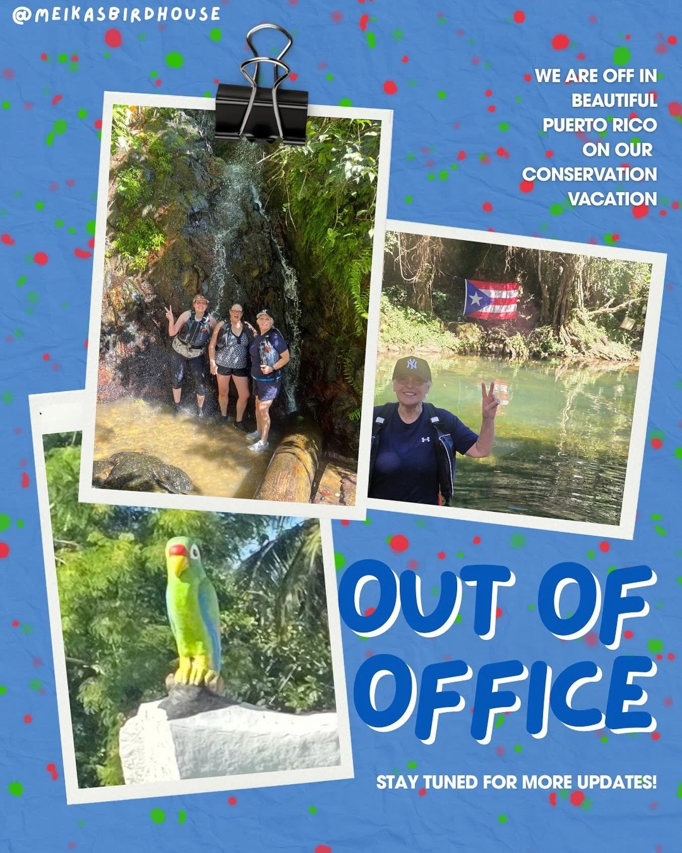 In case you missed it, we&rsquo;re officially out of office on our second annual conservation vacation! 🛫🌿 Don&rsquo;t let the FOMO get to you&mdash;reserve your spot today for next year&rsquo;s Thailand adventure and join the journey to help prote