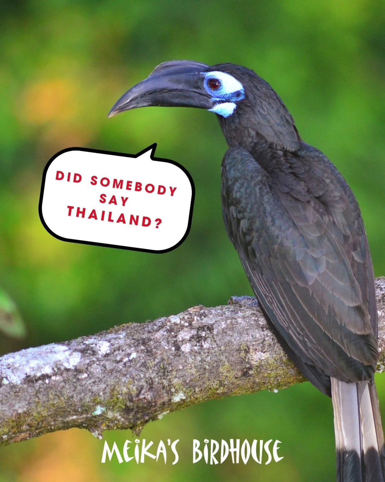 🚨 Only 5 Spots Left for Next Year&rsquo;s Conservation Vacation! 🚨

Don&rsquo;t miss your chance to join us on this unforgettable adventure! 🌍✨ Together, we&rsquo;ll explore breathtaking landscapes, protect wildlife, and make memories that last a 