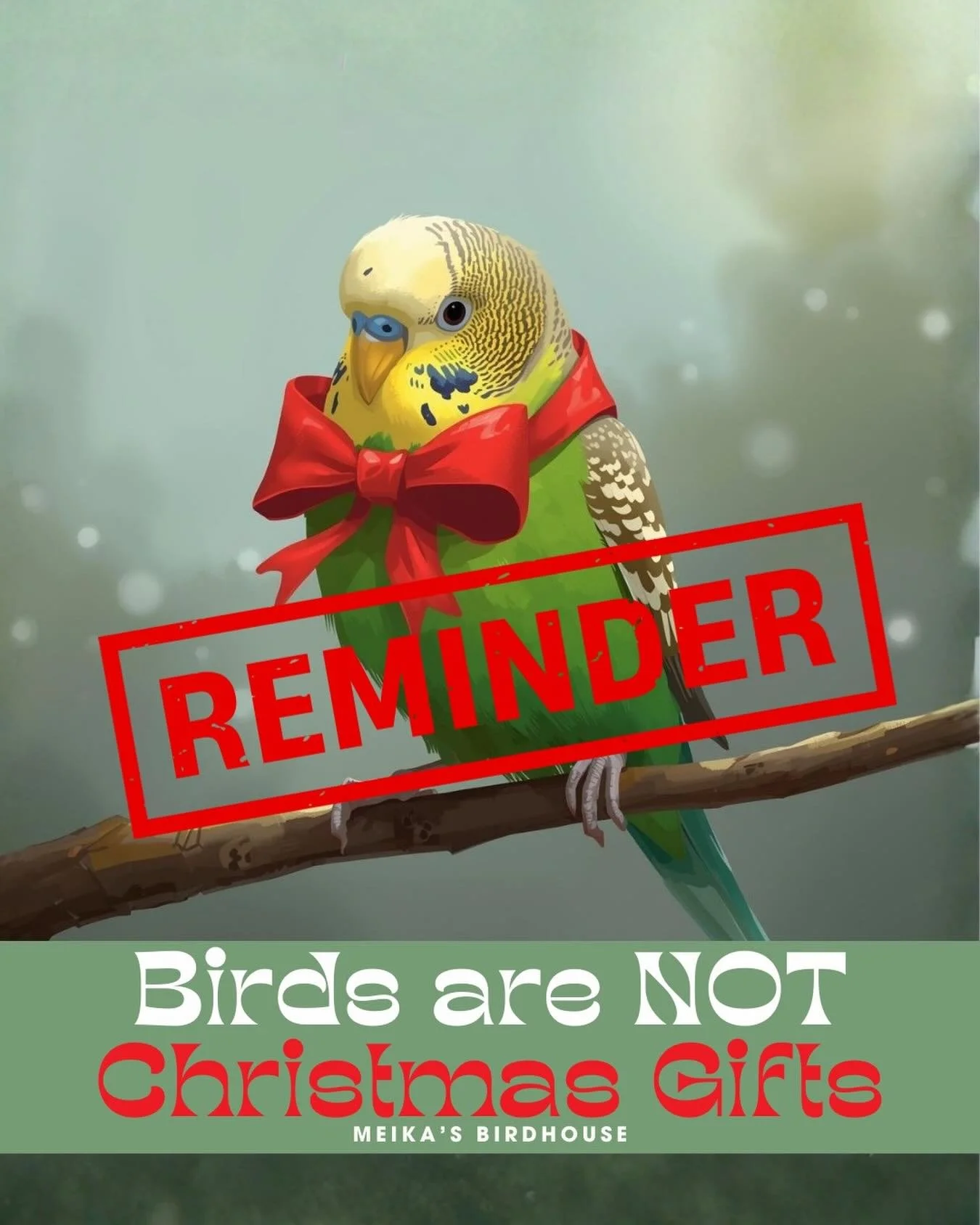 🎄 Important Reminder: No Adoptions in December 🎄

As much as we want every bird that comes through our rescue to find their perfect forever home, we firmly believe birds are not meant to be gifts. For this reason, we pause all adoptions during the 