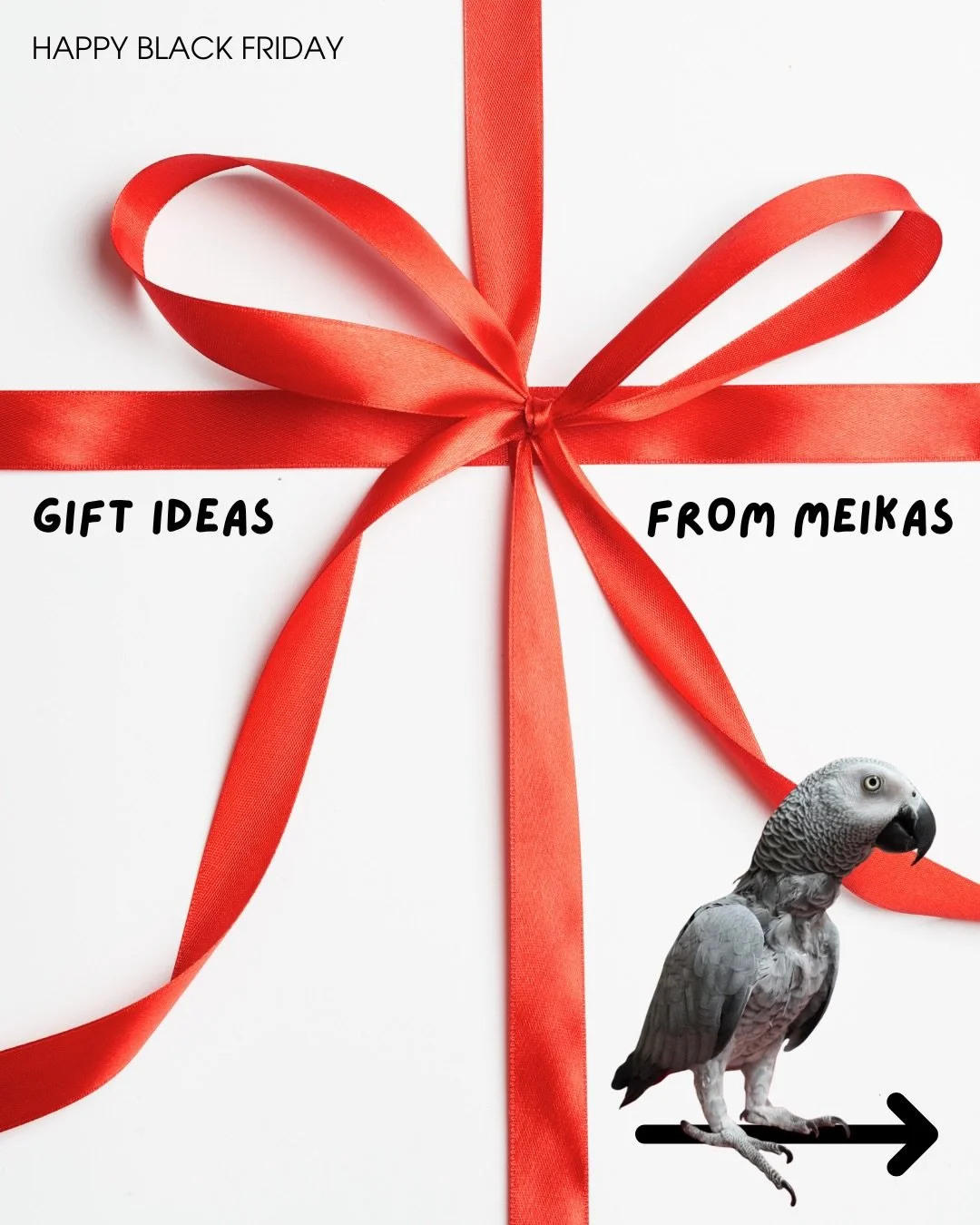 Black Friday is here, and the holiday shopping season is in full swing at Meika&rsquo;s Bird House! 🛍️

Looking for thoughtful and unique gifts for loved ones? Check out our top picks:
1️⃣ Adorable Owl Backpacks 🦉
2️⃣ Bird Houses &amp; Feeders &nda