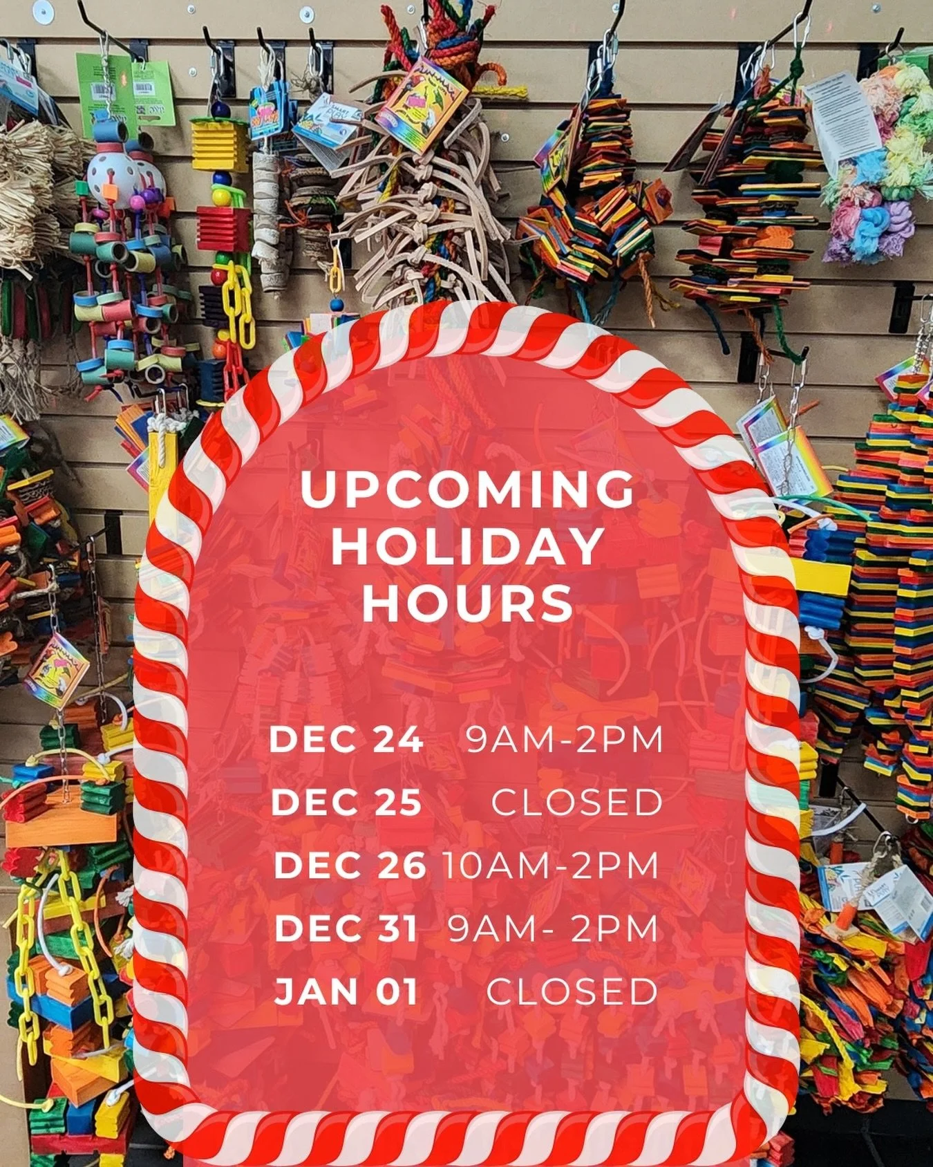 ✨ Holiday Hours Reminder! ✨🎄
The holidays are around the corner, and we want to make sure you have plenty of time to finish your shopping! 🛍️
We&rsquo;ll be reducing our hours to celebrate the season with our loved ones&mdash;both feathered 🐦 and 