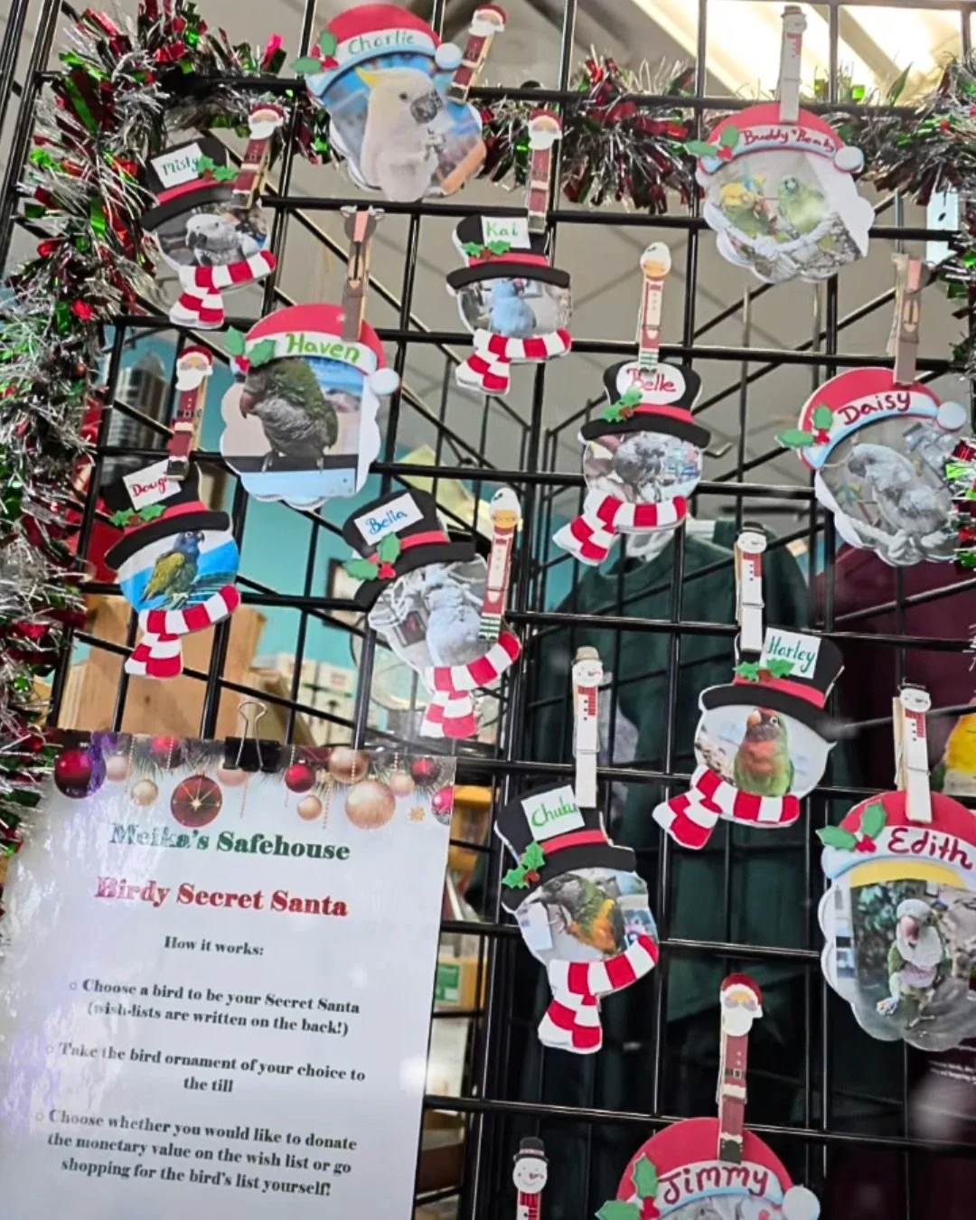 🎄🦜 Our first year of wishlists was a huge success! 🦜🎄

This was our very first year doing wishlists for the birds in our care, and we are absolutely thrilled to share that every single one of the 88 shelter bird wishlists has been fulfilled &mdas