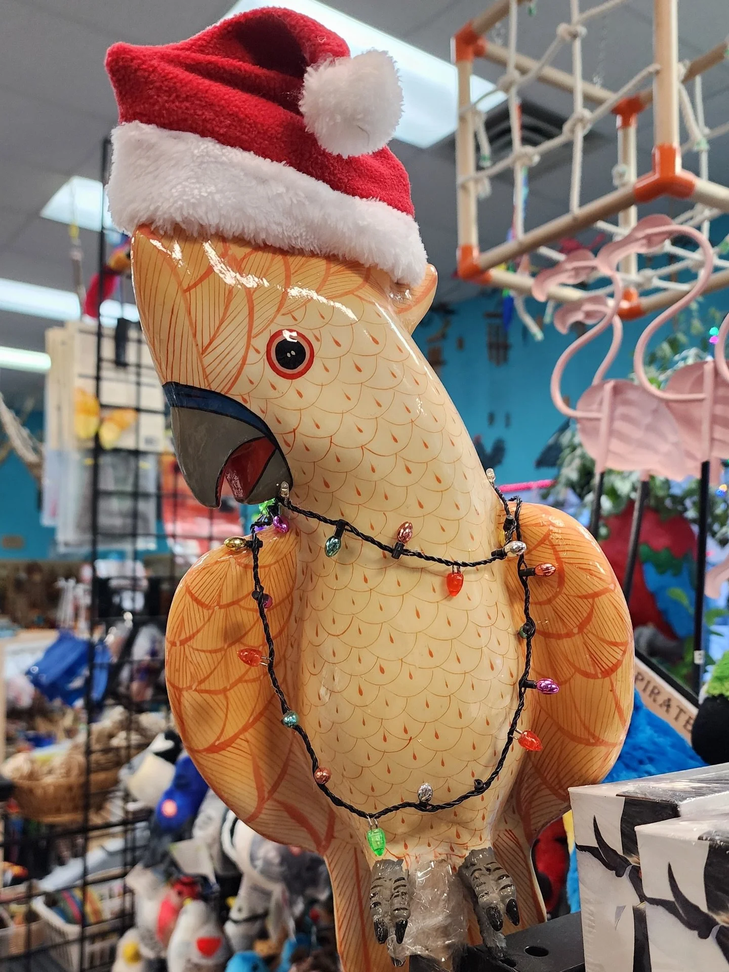 ✨ Holiday Hours Reminder! ✨🎄

A quick update on our holiday schedule:

Today: Closing at 2 PM

Christmas Day: Closed

Boxing Day: From 10 AM - 2 PM

❄️🎁 Wishing you all a safe and joyful holiday season! Happy Holidays, Folks! 🦜❤️