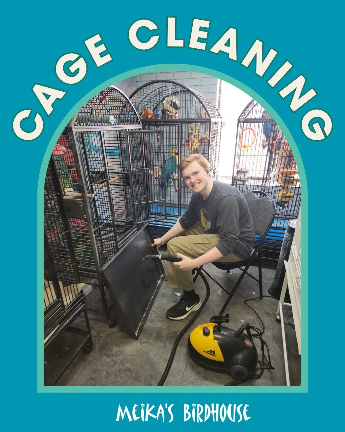 Love your bird but hate dealing with their messes? Let us handle the dirty work while you kick back and relax.  Our professional cage cleaning services are perfect for enclosures of all shapes and sizes. Whether it&rsquo;s a quick spruce-up or a deep