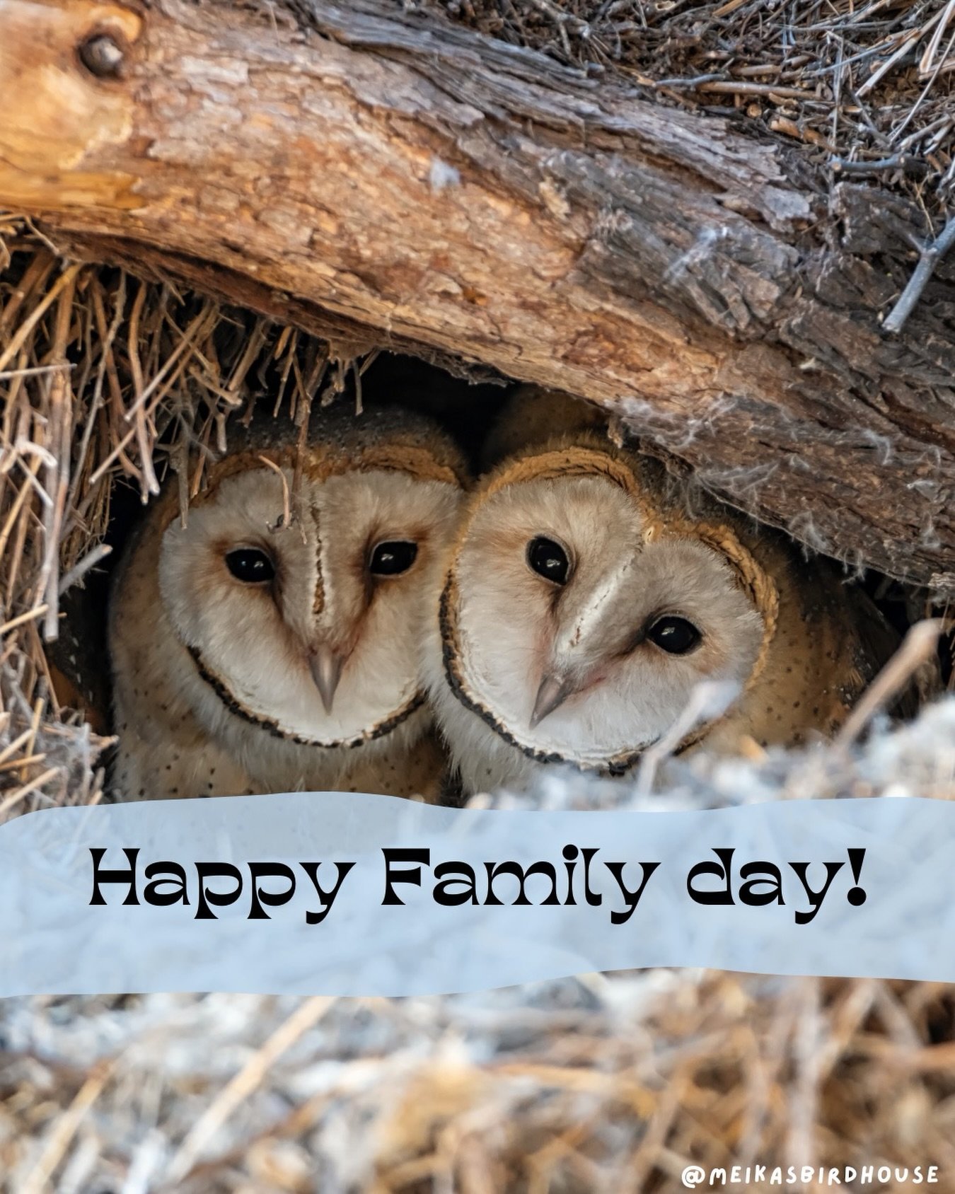 From our flock to yours, wishing you a cozy and joyful Family Day!