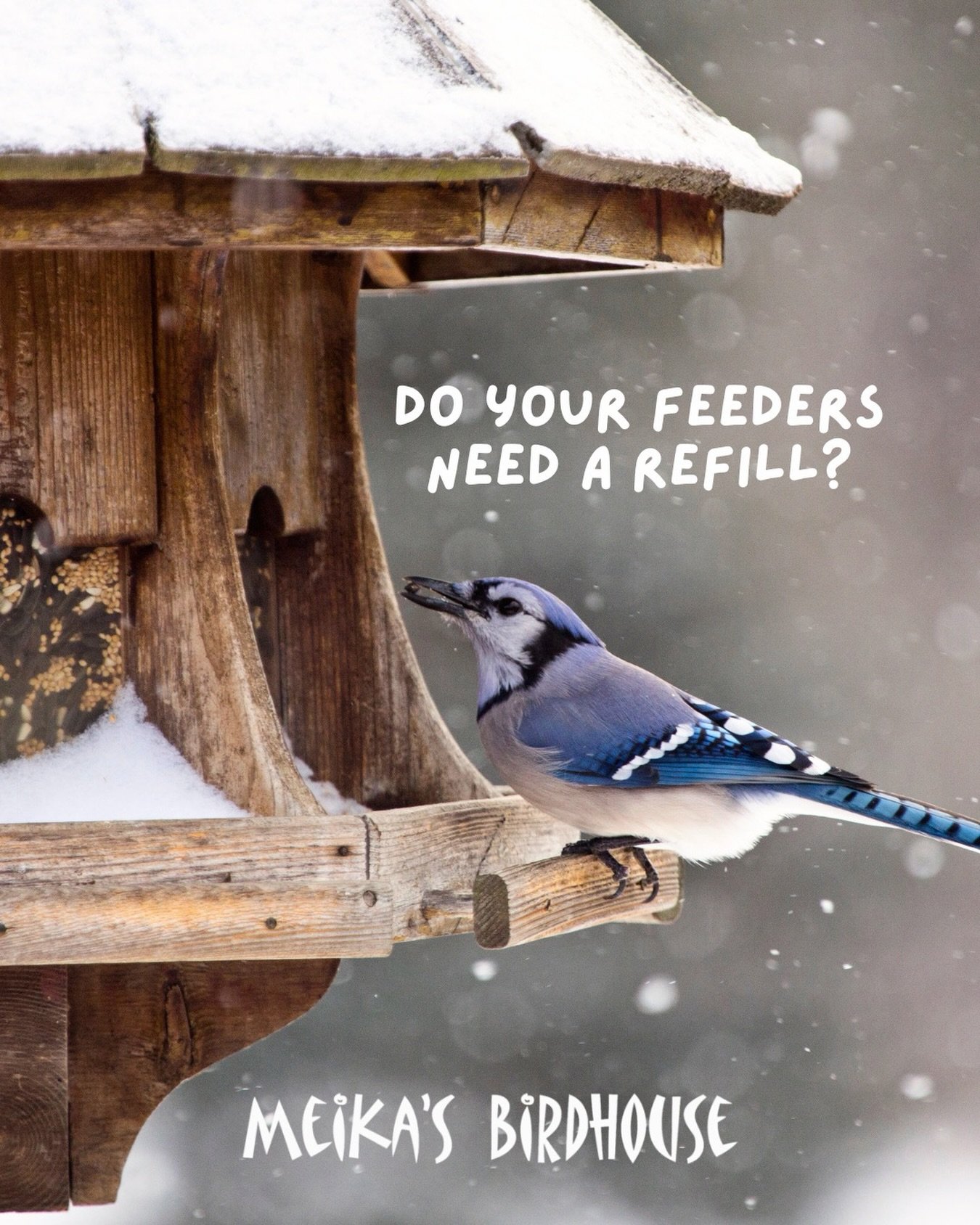 Alberta&rsquo;s never-ending winter can be tough on our feathered friends, so don&rsquo;t forget to check on those feeders! 🐦❄️

Keeping birds fed during these chilly months makes a big difference&mdash;and Meika&rsquo;s has everything you need, fro