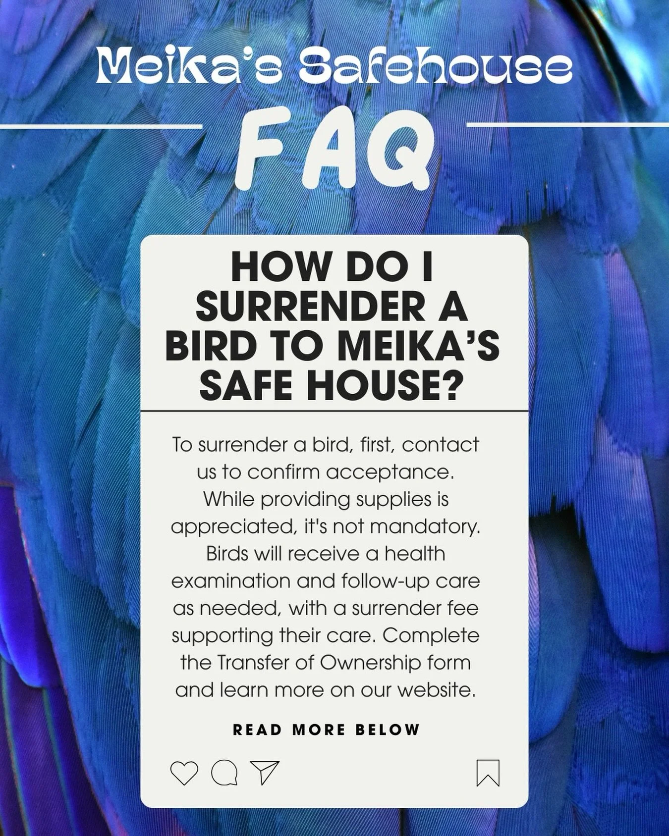 Wondering how to surrender a bird to Meika&rsquo;s?  Here&rsquo;s our process.

1️⃣ Please contact us first to confirm we can accept the bird. Once arranged, birds can be brought to:

Meika&rsquo;s Bird House
971a Ordze Road, Sherwood Park, Alberta.
