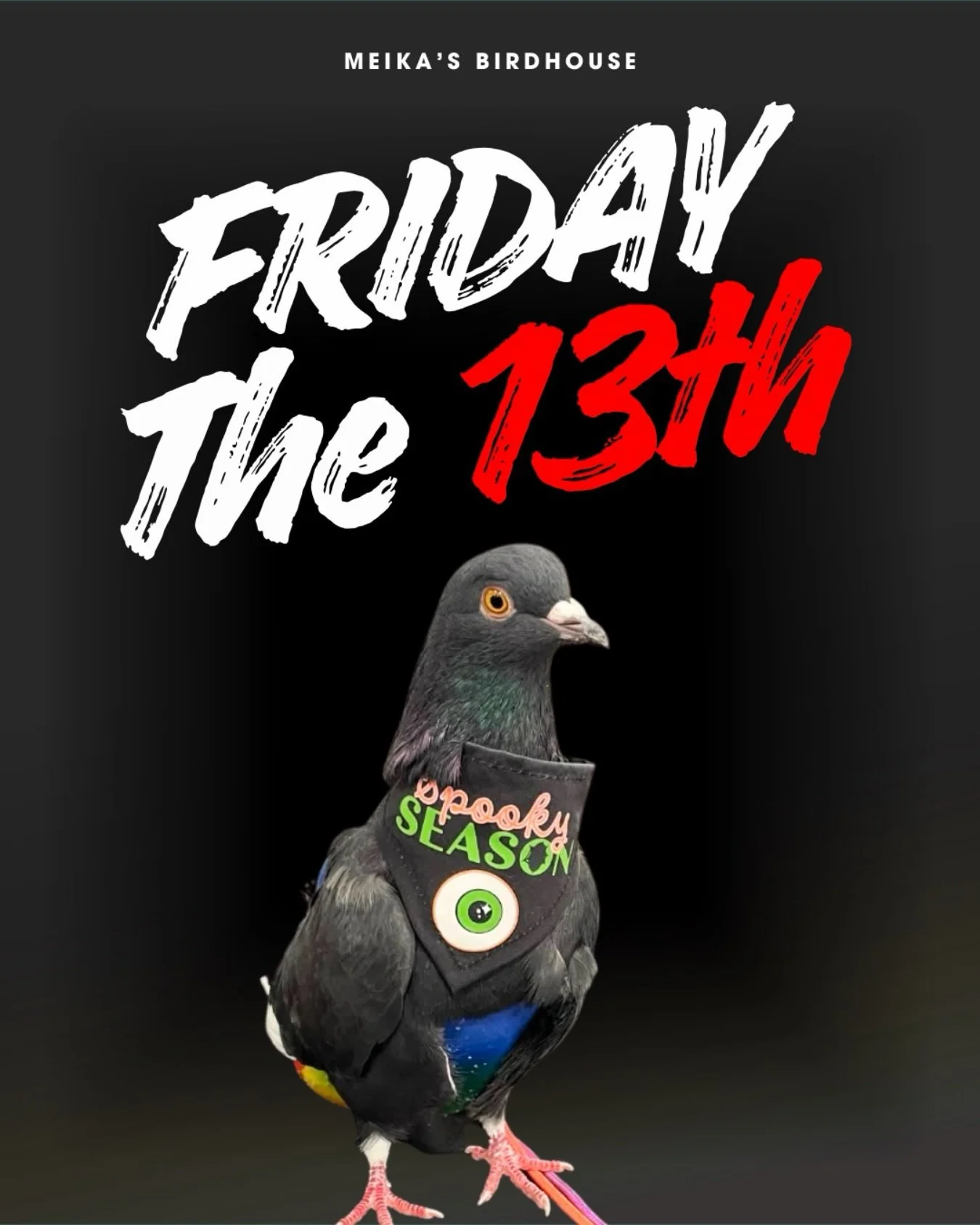 Lois the pigeon is here to remind you: Friday the 13th isn&rsquo;t all spooky vibes&mdash;there&rsquo;s still so much good to find in the world! 🐦✨ 

Whether it&rsquo;s a surprise sunny day, a treat you love, or just her charming pigeon face, take a