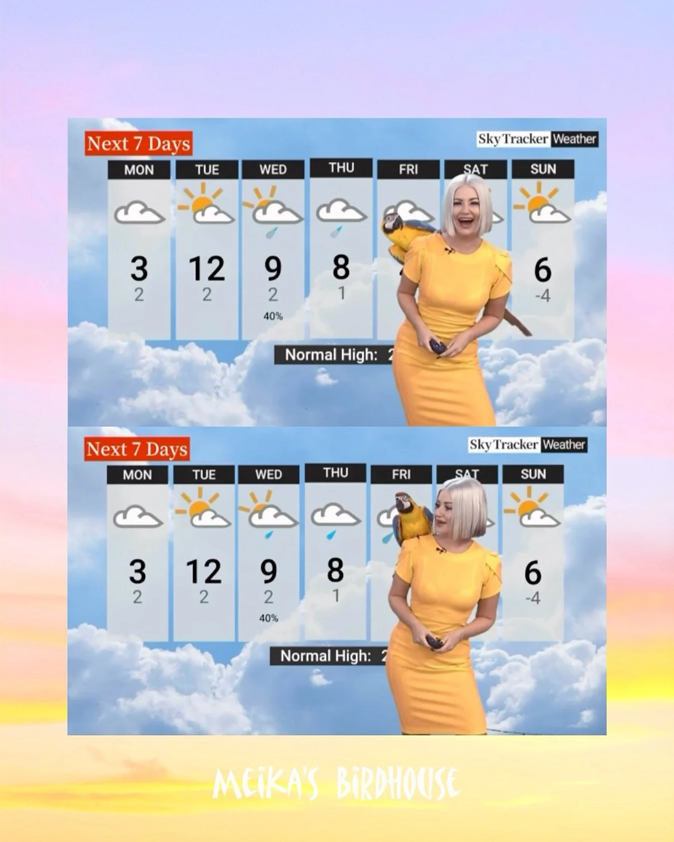 Did you catch our girl Teagan, the blue and gold macaw, on the morning news helping Britt Prendergast, @bmprend13 with the weather? Teagan will be at the Edmonton Parrot Show this coming weekend!

📅 Saturday, March 21
🕙 10:00 AM - 4:00 PM
📍 Wyndha