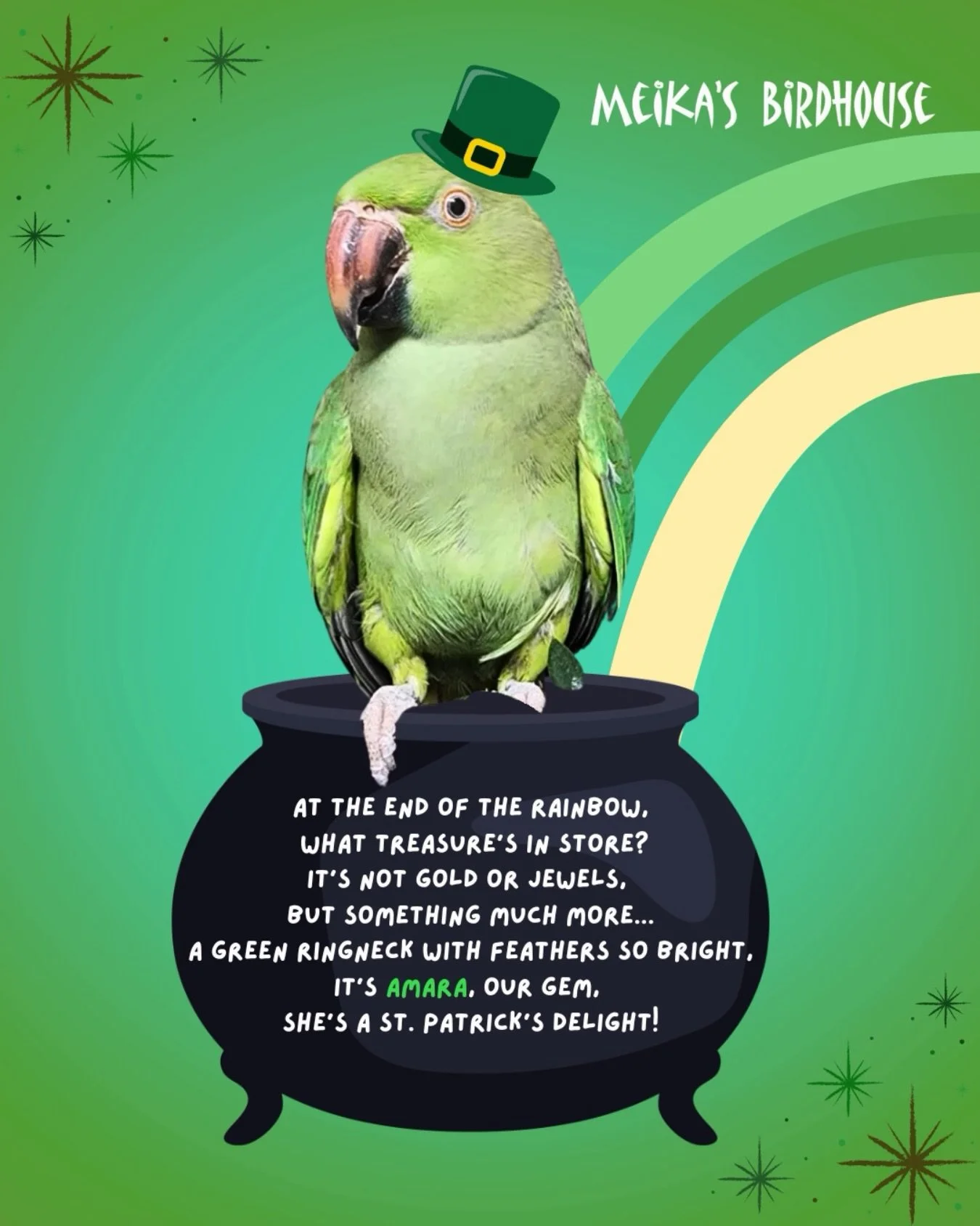 Meet Amara, a stunning green Indian Ringneck who might just be the lucky treasure at the end of your rainbow!  She&rsquo;s a lovely bird to watch, full of curious antics, but she&rsquo;s hands-off as she&rsquo;s very shy and still learning to trust. 