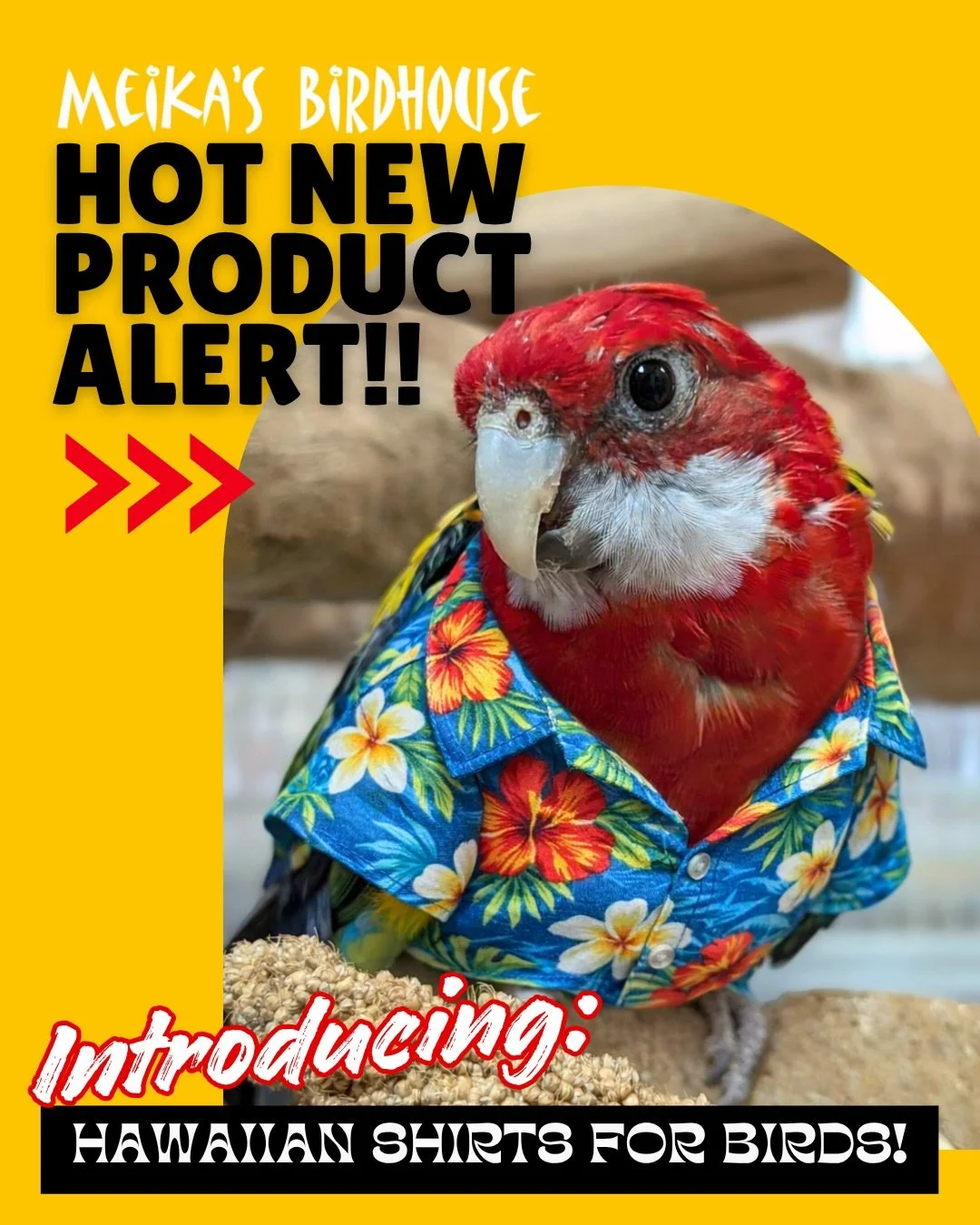 After years of overwhelming demand, we&rsquo;re almost ready to reveal custom Hawaiian shirts designed and hand-sewn by none other than Ian Sprague himself! 🤩 

From bold tropical patterns to Ian&rsquo;s precise stitching, these shirts are the ultim